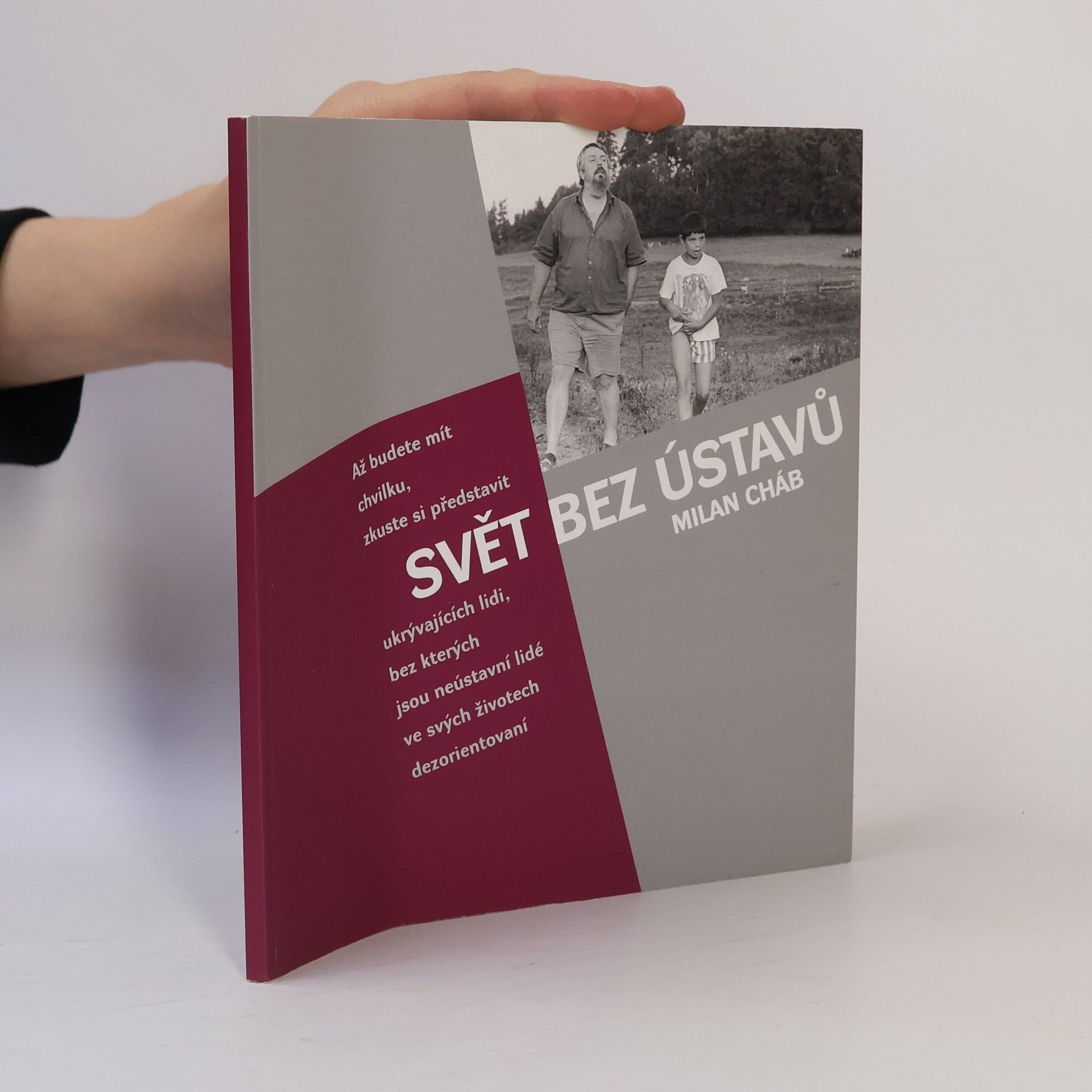 Milan Cháb Svět bez ústavů