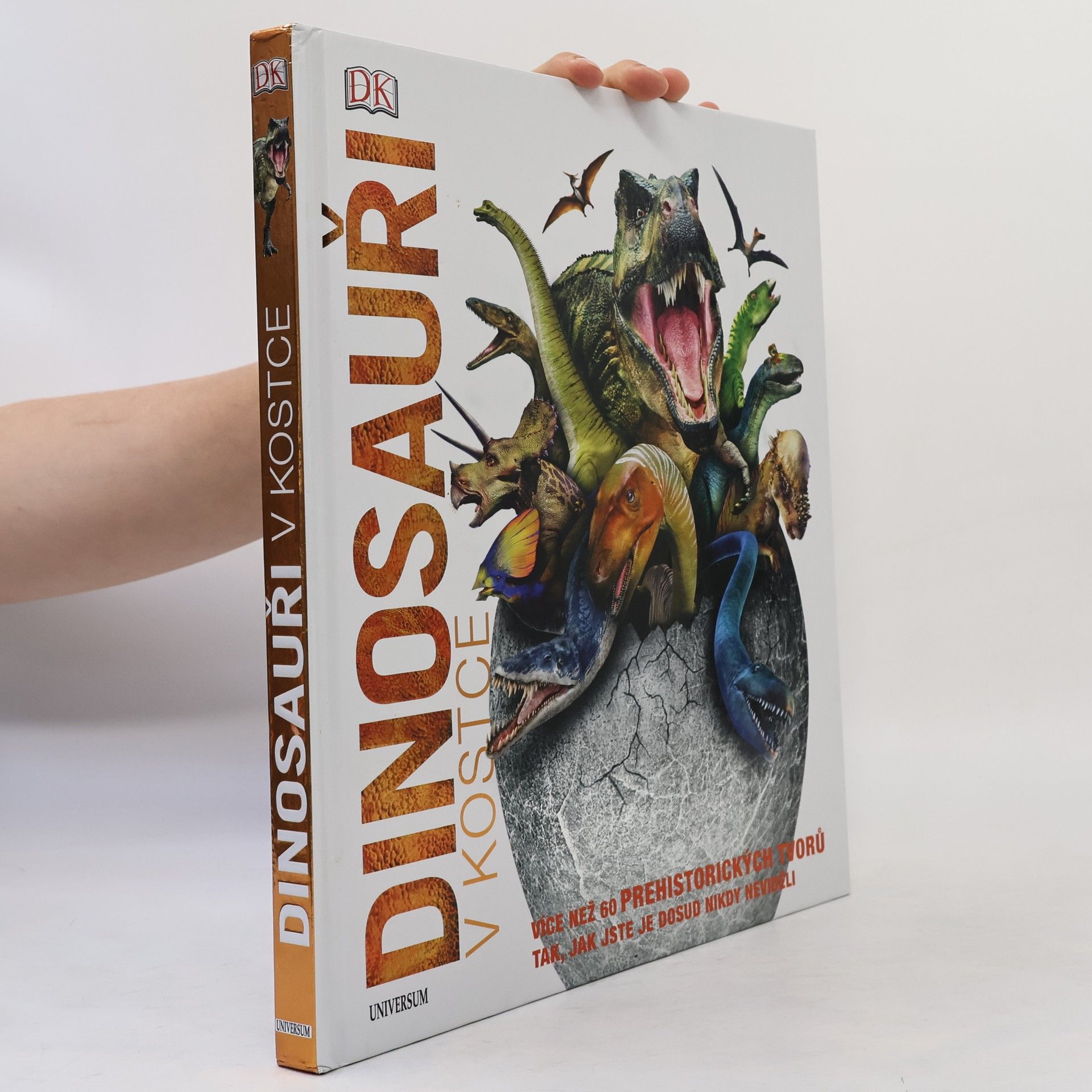 Autorenkollektiv Dinosauři v kostce