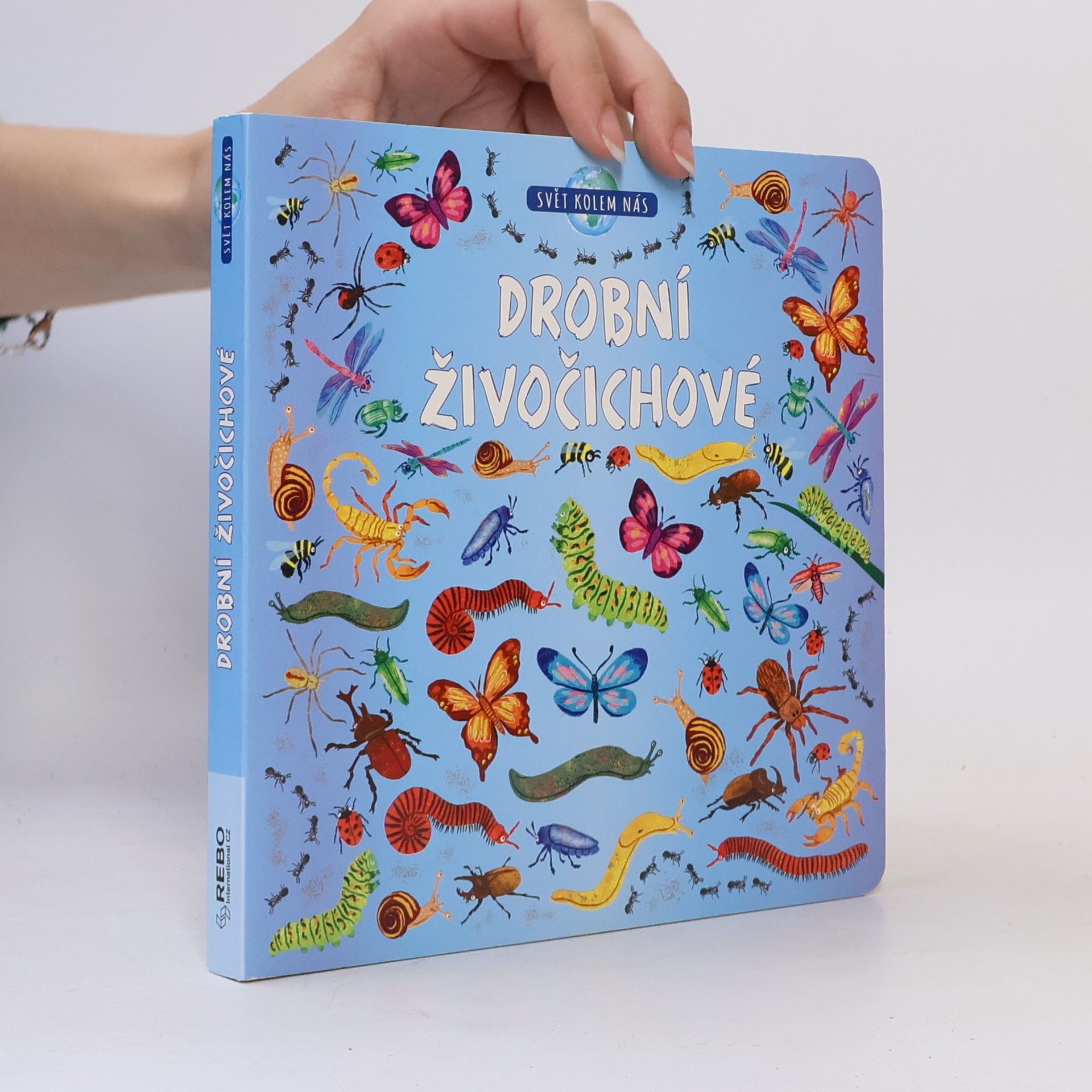 Autorenkollektiv Drobní živočichové