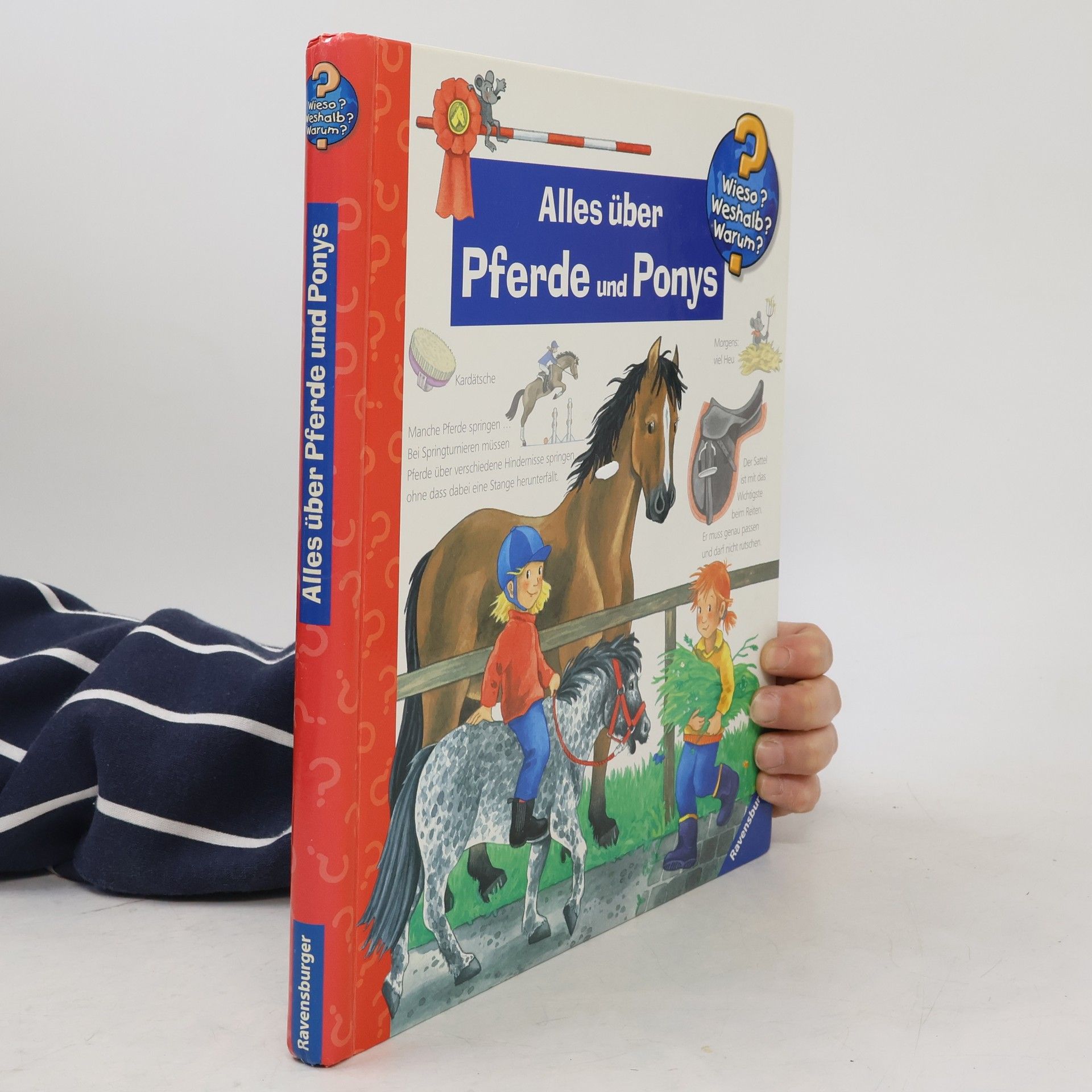 Andrea Erne Alles über Pferde und Ponys