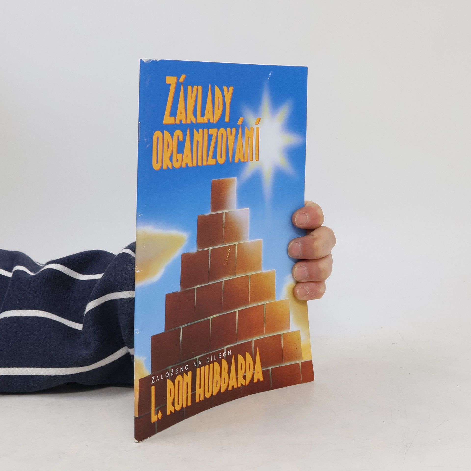 Základy organizování (2018)