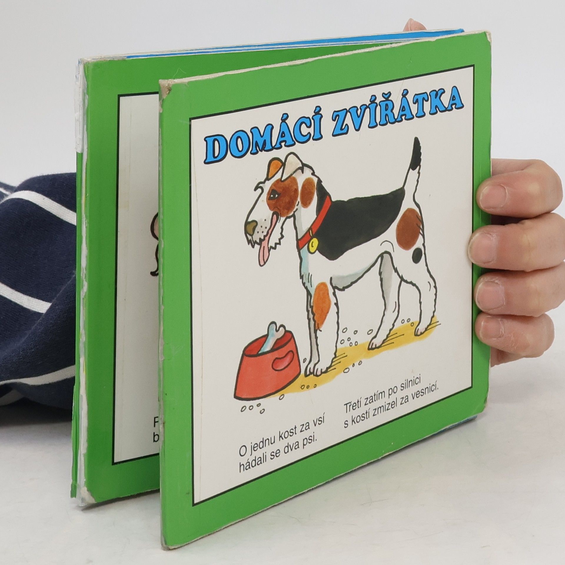 Kolektív autorov Domácí zvířátka