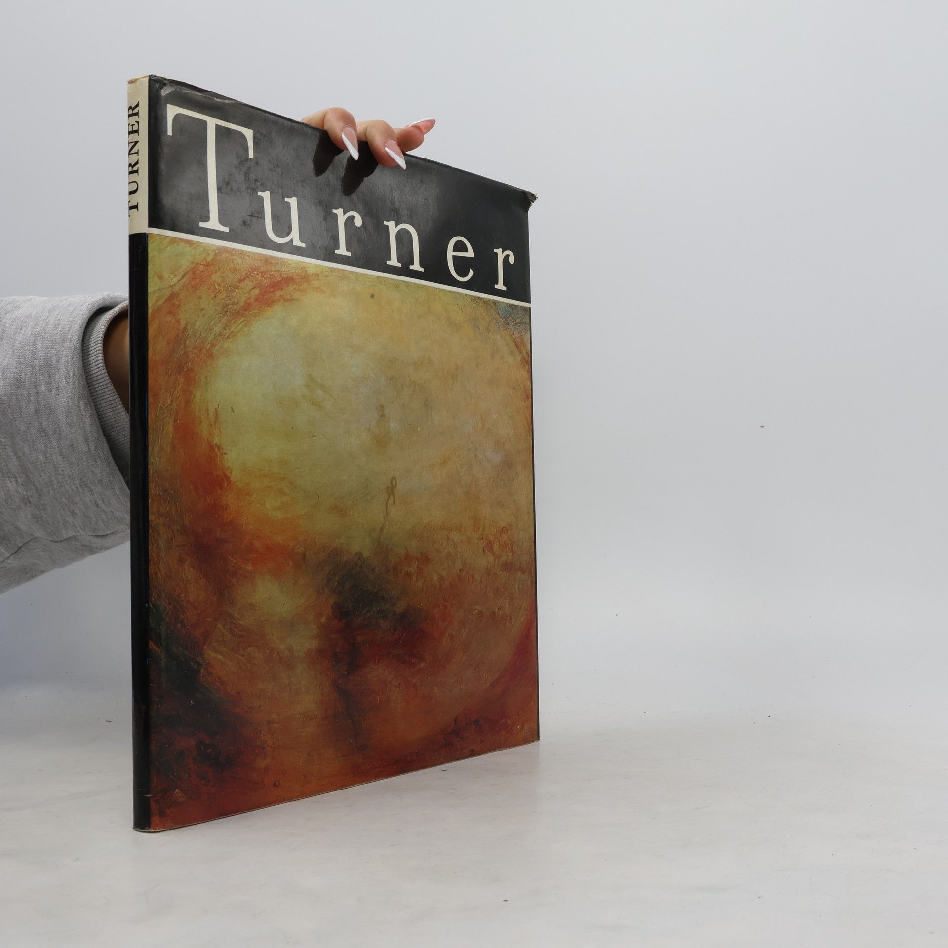 Irina Ionescu Turner