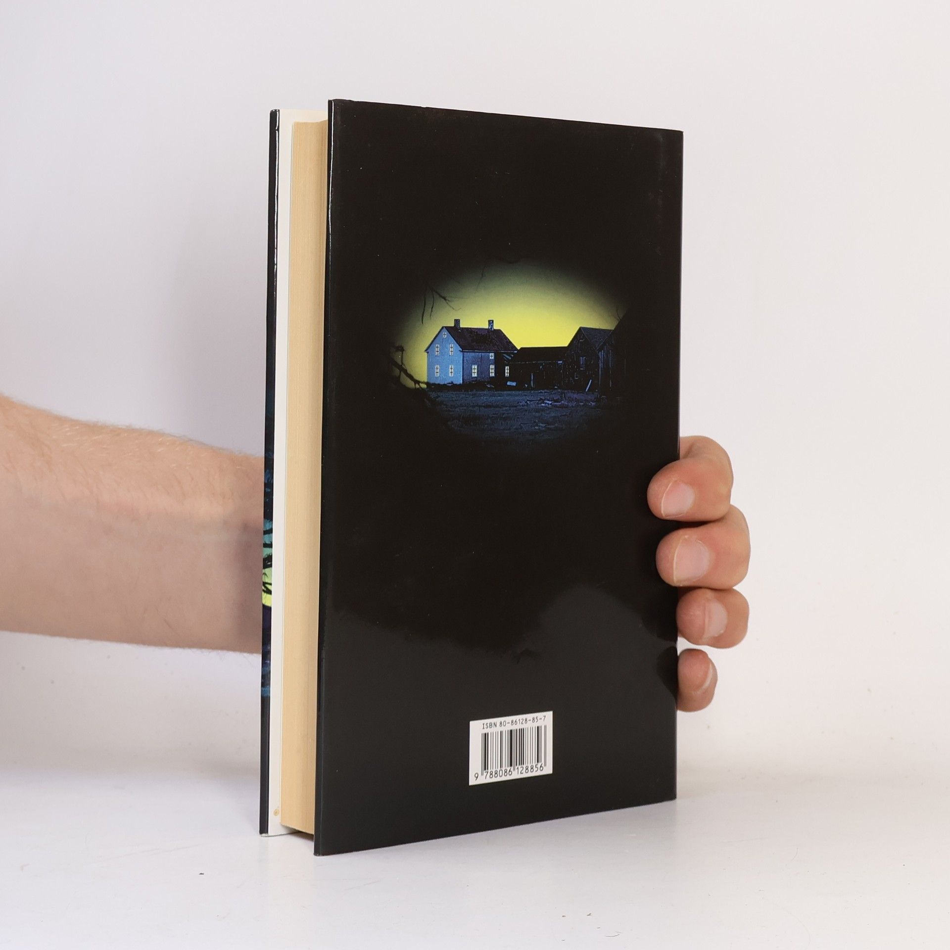 Jeffery Deaver Dívčí hrob