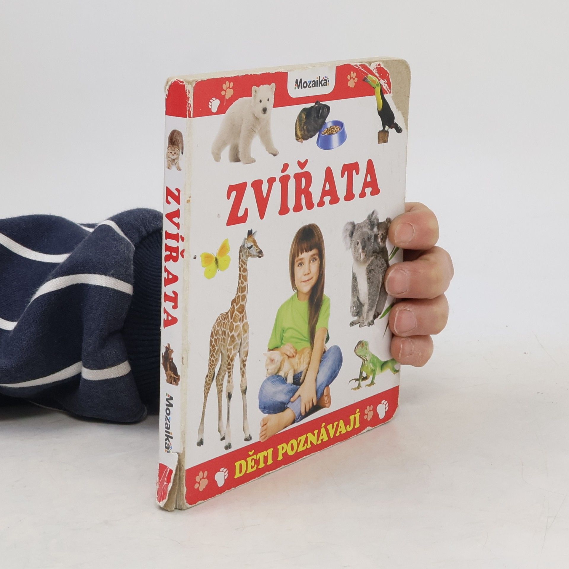 Kolektív autorov Děti poznávají zvířata