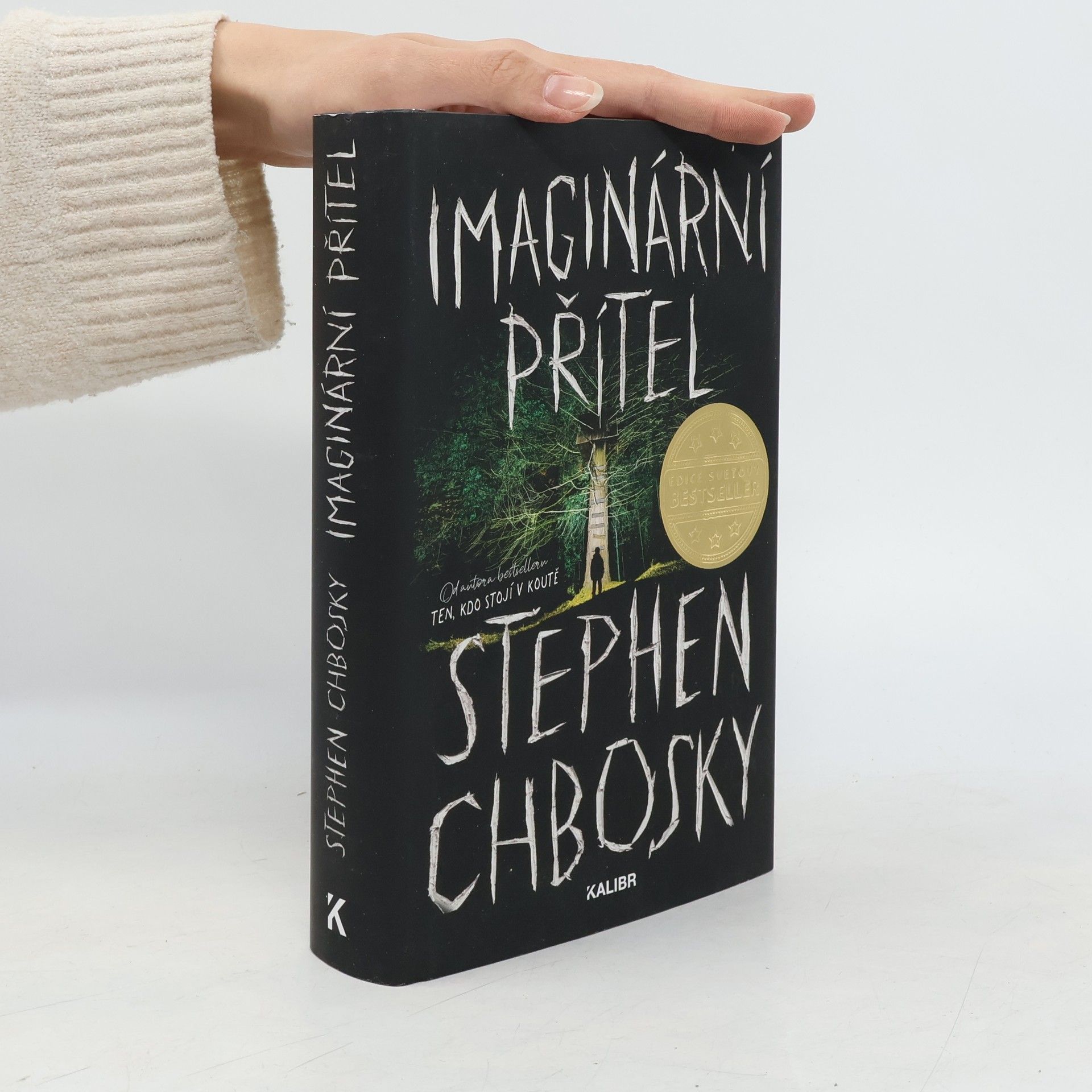 Stephen Chbosky Imaginární přítel