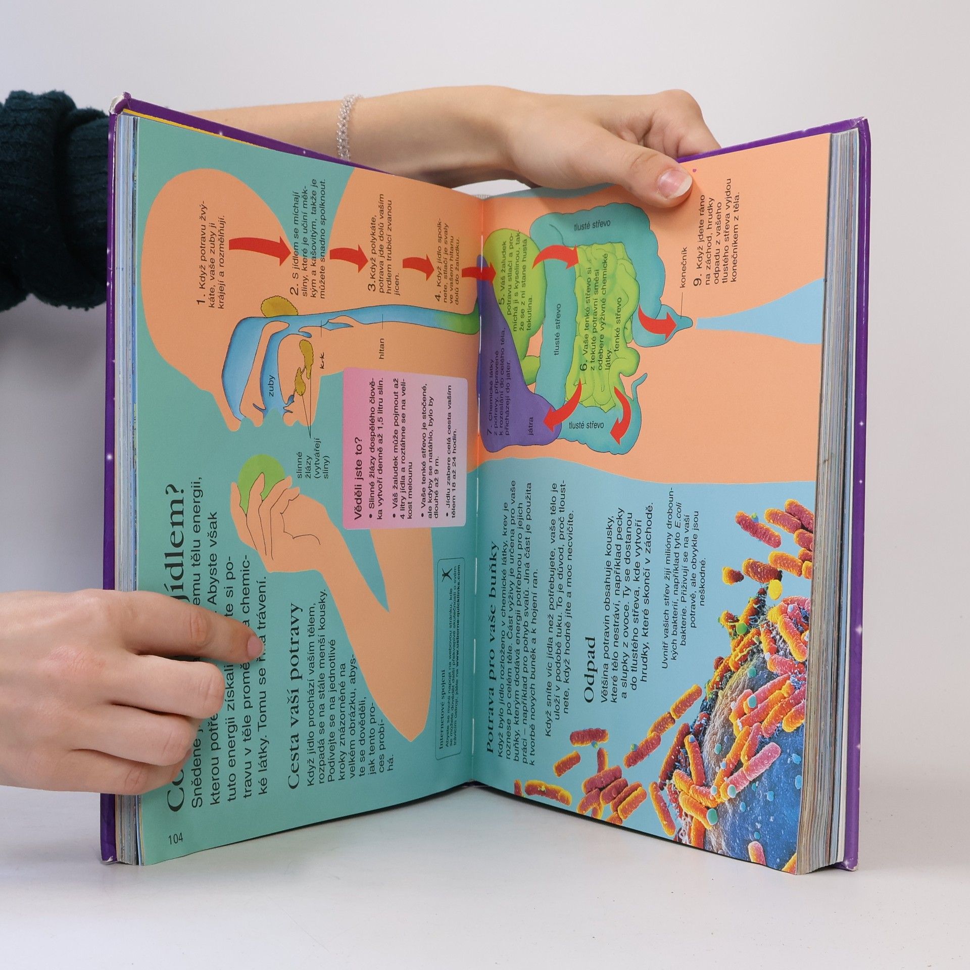 Various authors Velká dětská encyklopedie