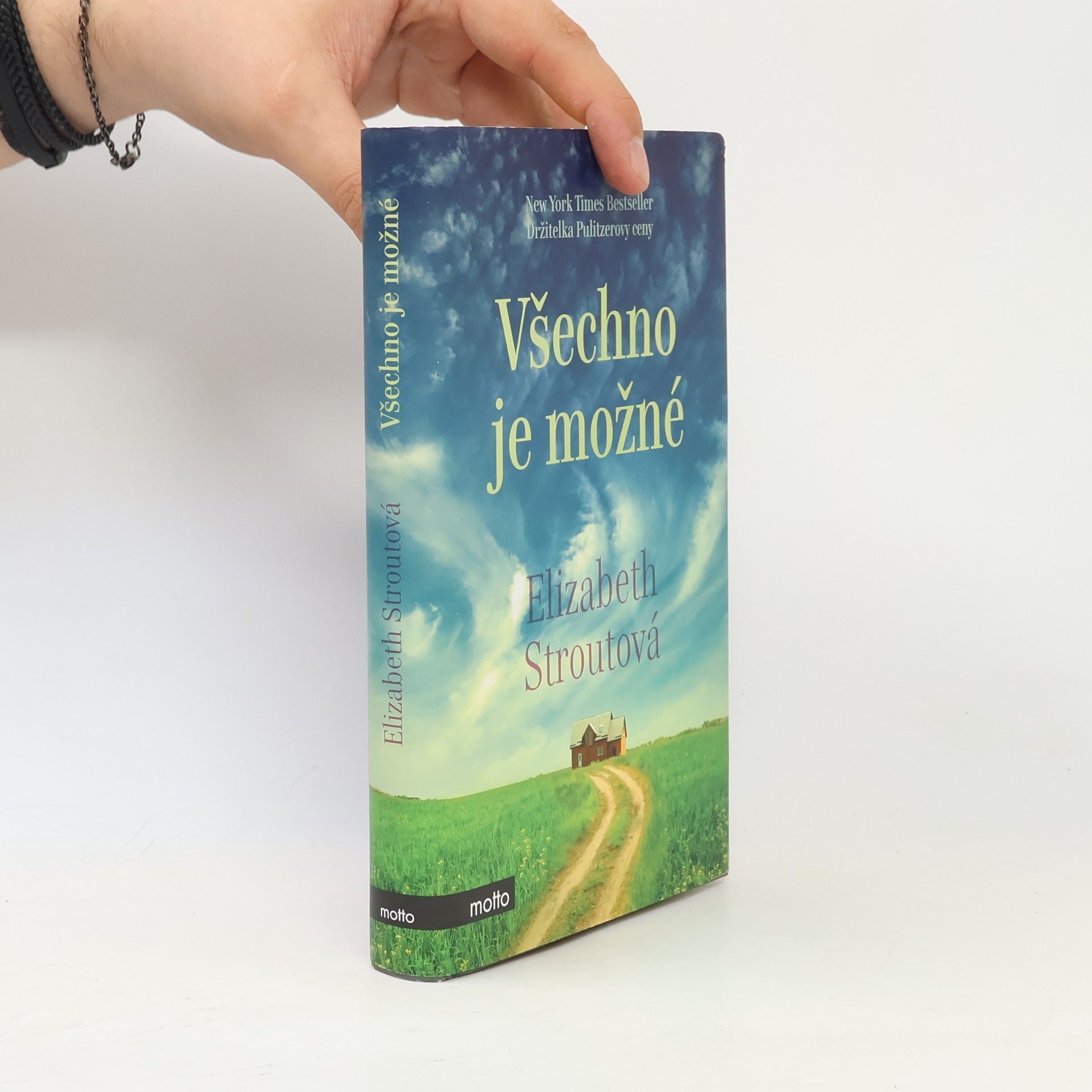 Elizabeth Strout Všechno je možné