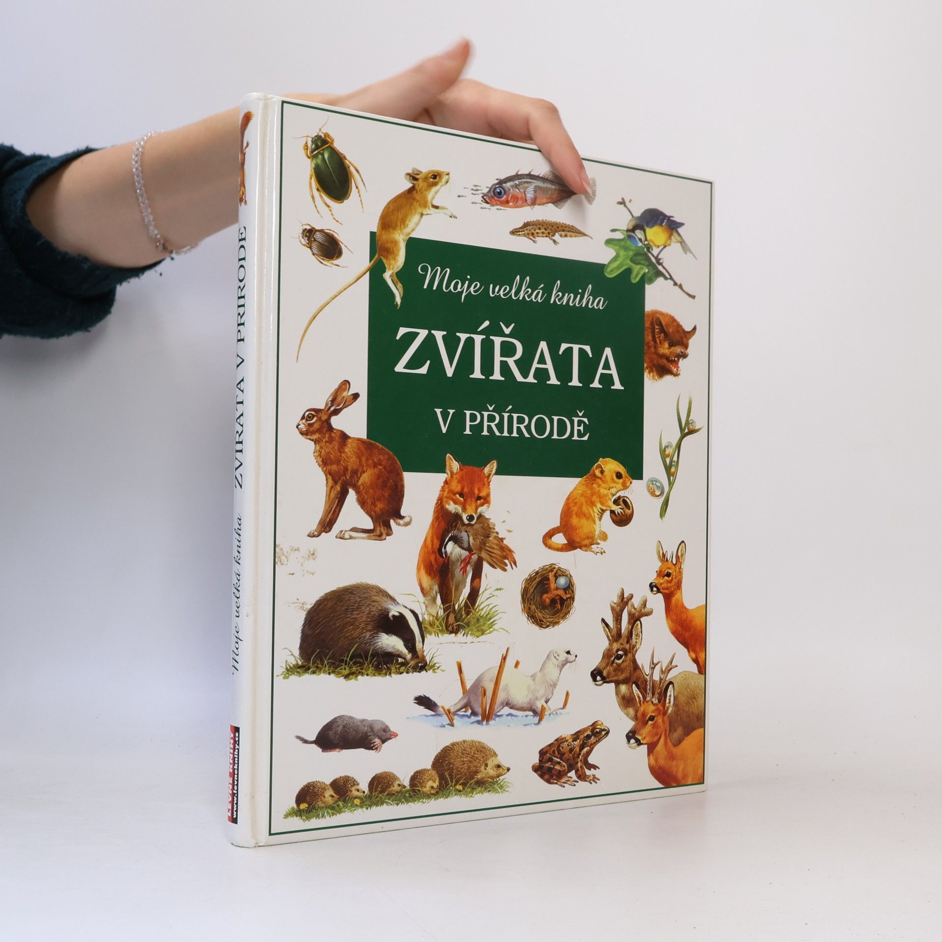 Kolektiv autorů Zvířata v přírodě
