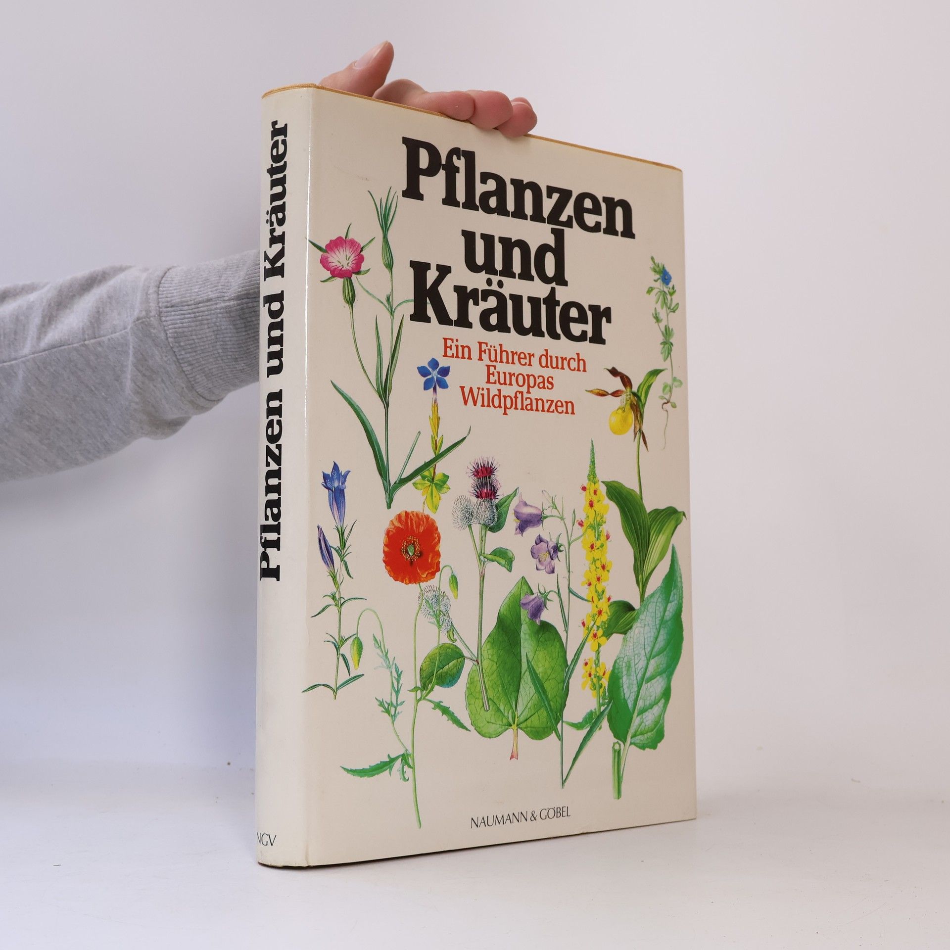 Zdenka Podhajská Pflanzen und Kräuter