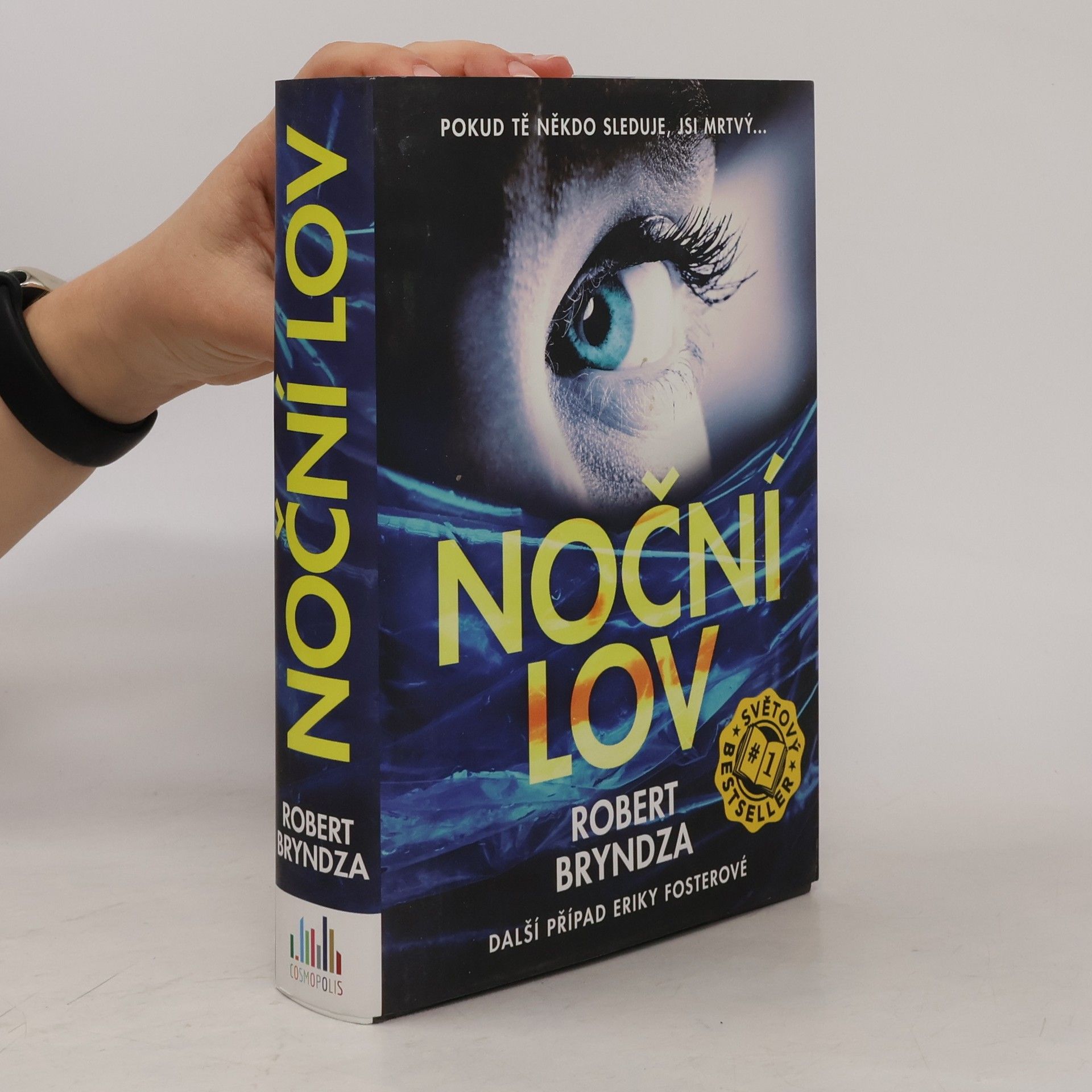 Robert Bryndza Noční lov
