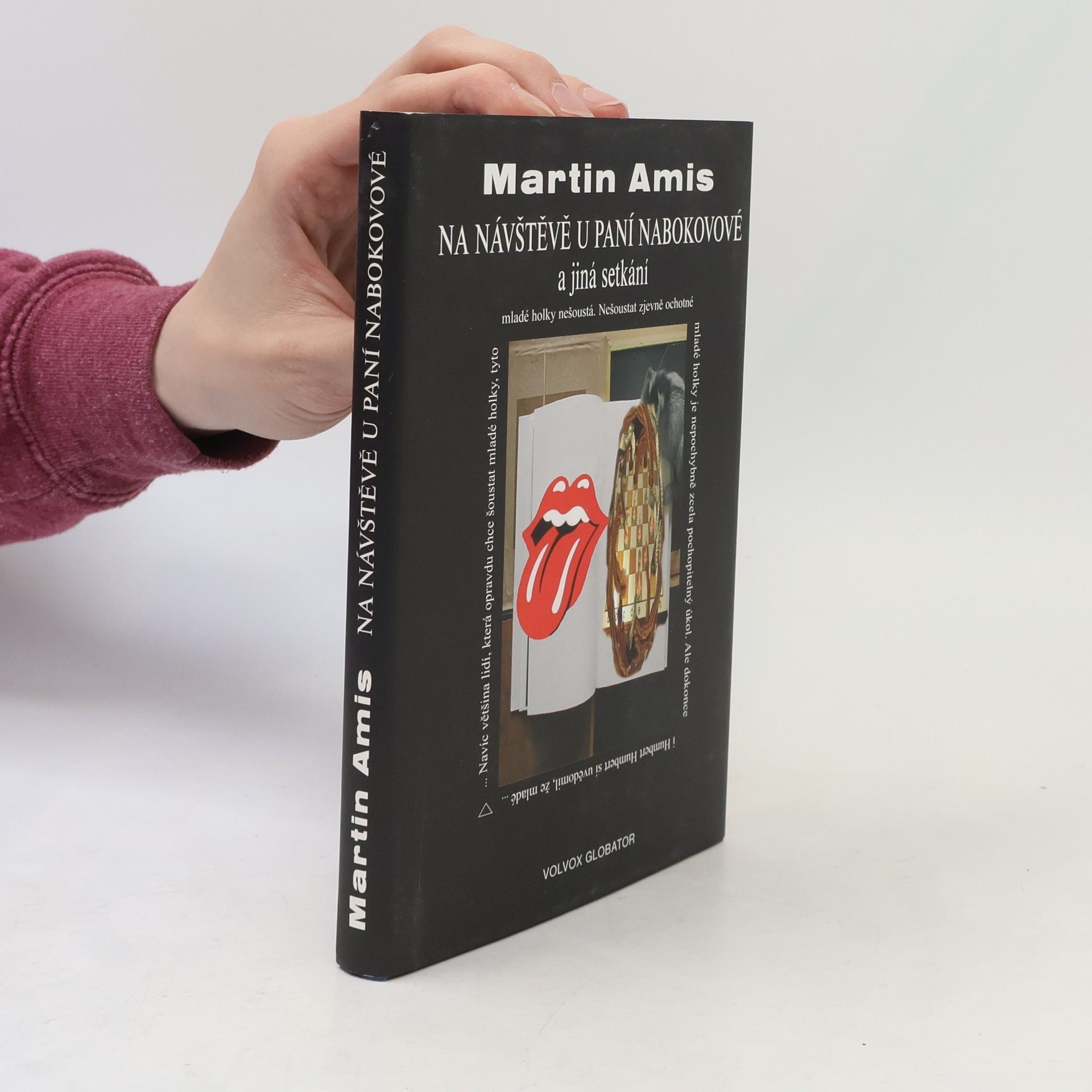 Martin Amis Na návštěvě u paní Nabokovové a jiná setkání