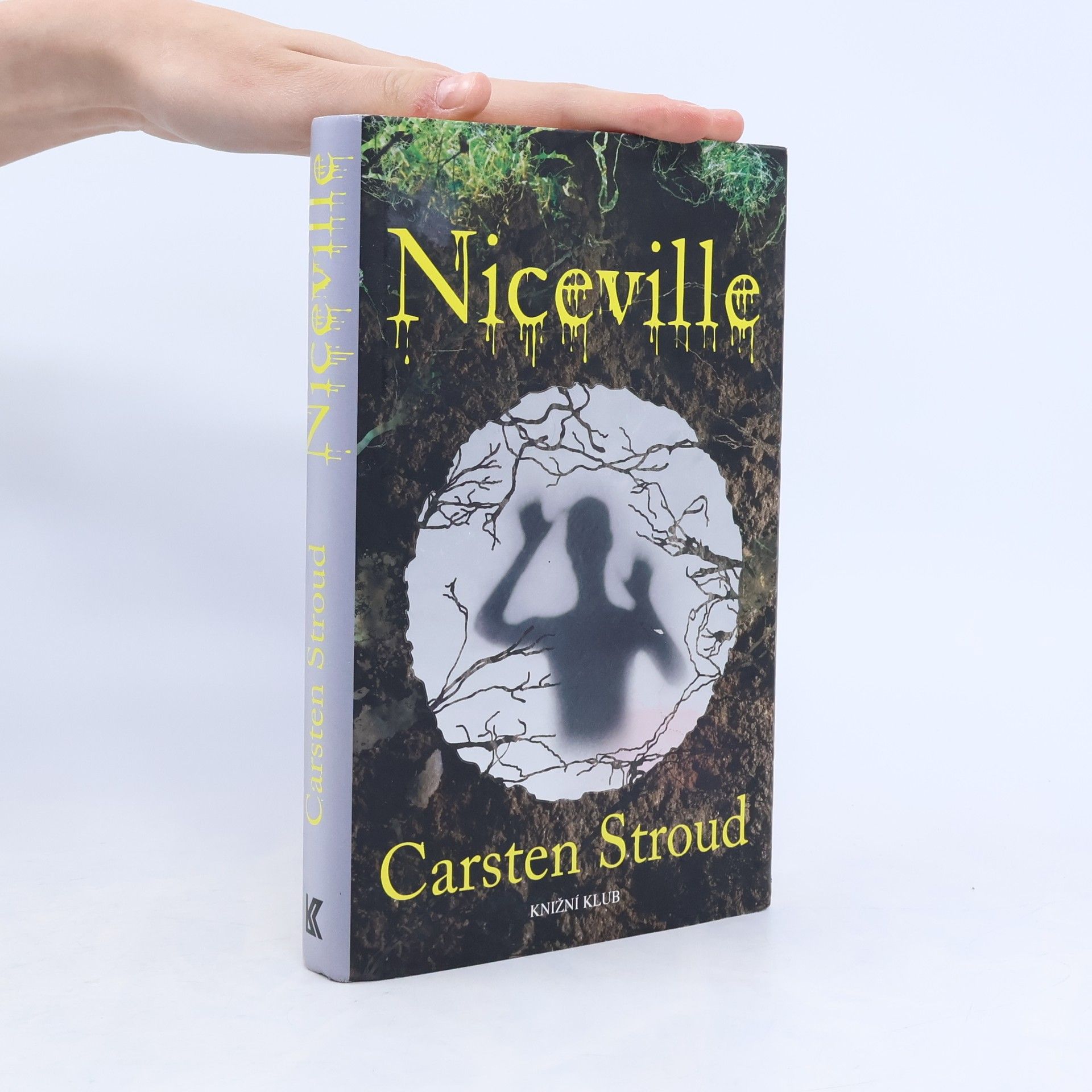 David Stone Niceville