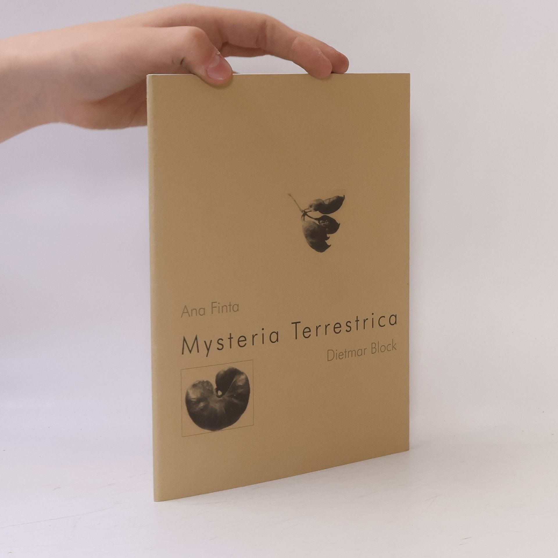 Dietmar Block Mysteria Terrestrica