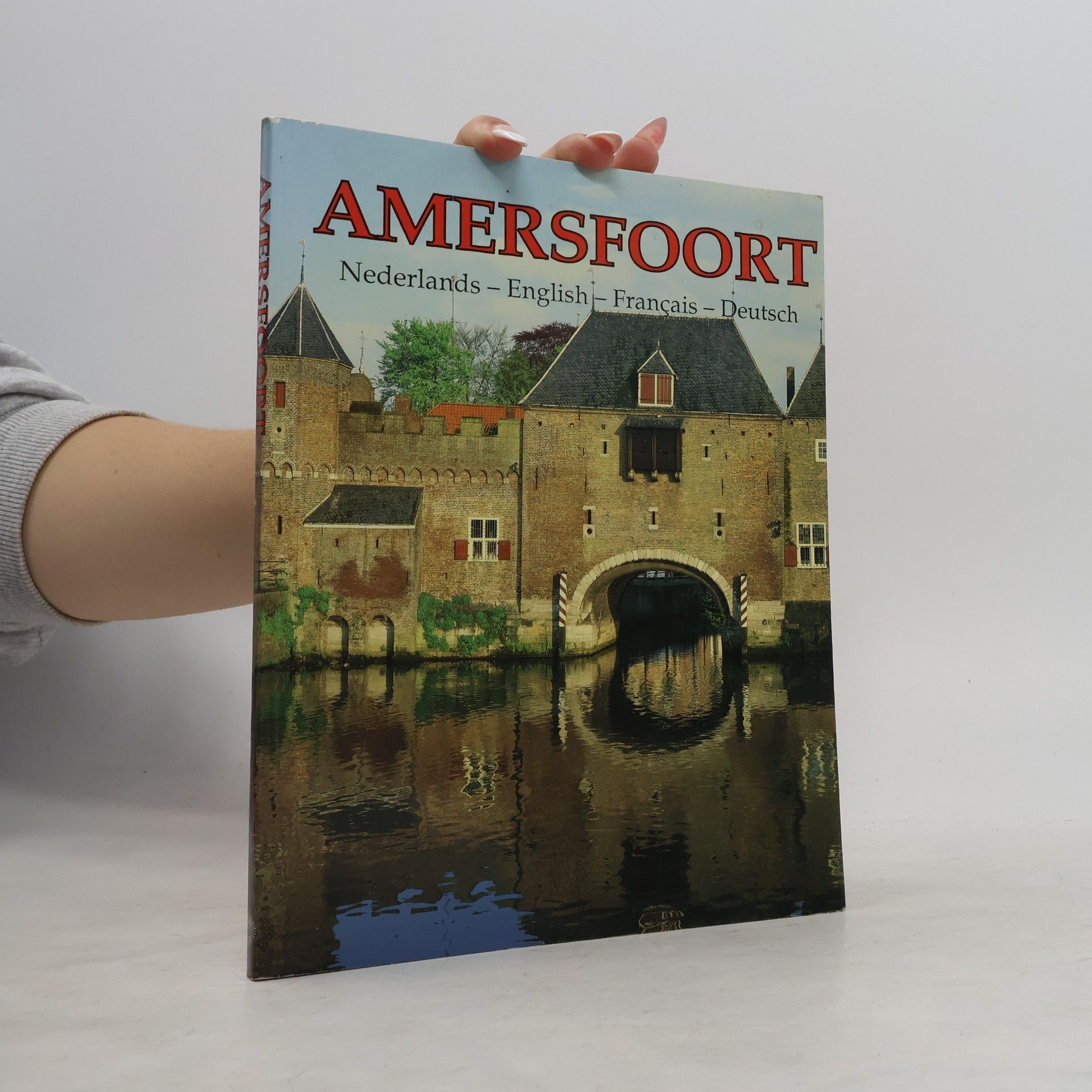 Kolektiv autorů Amersfoort