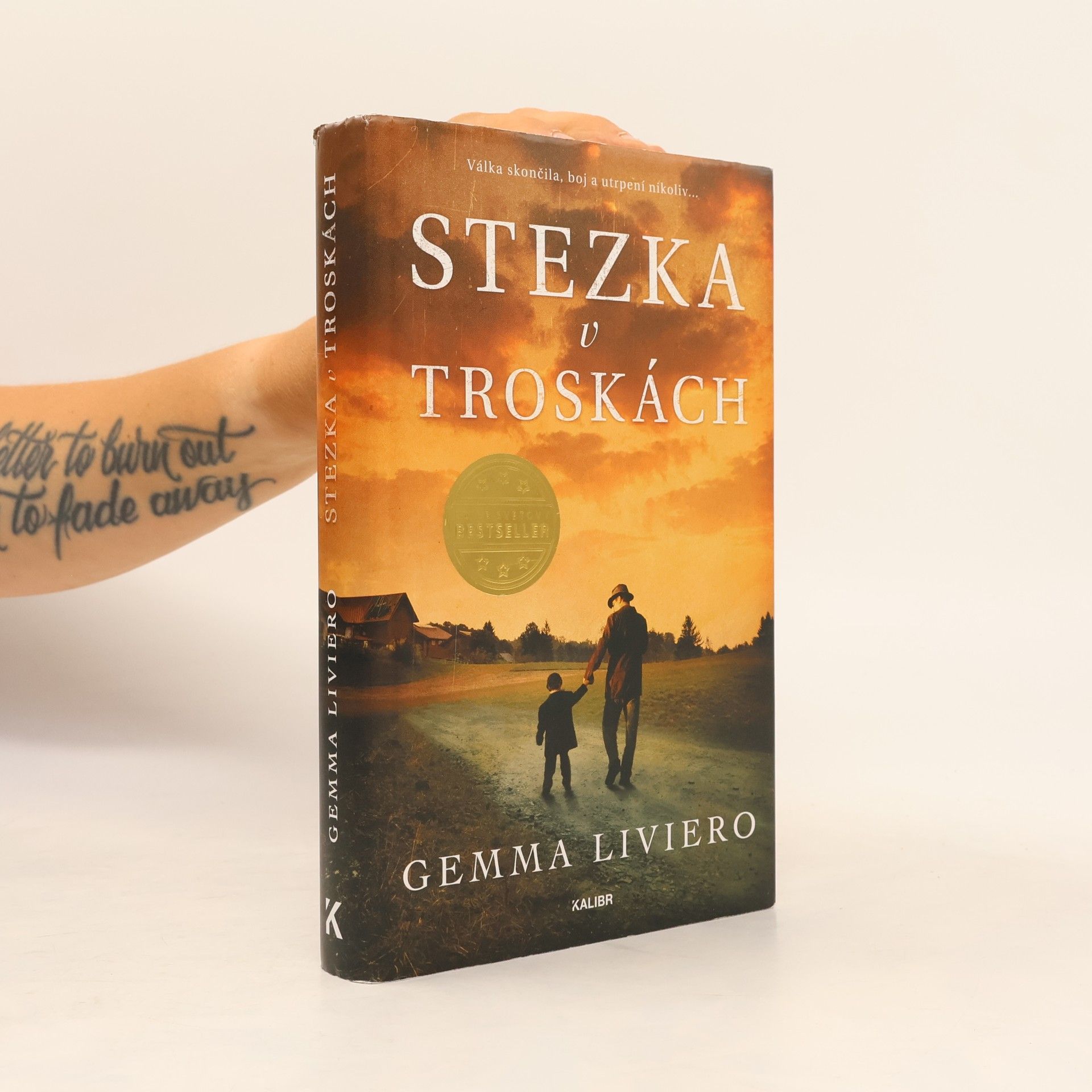Gemma Liviero Stezka v troskách