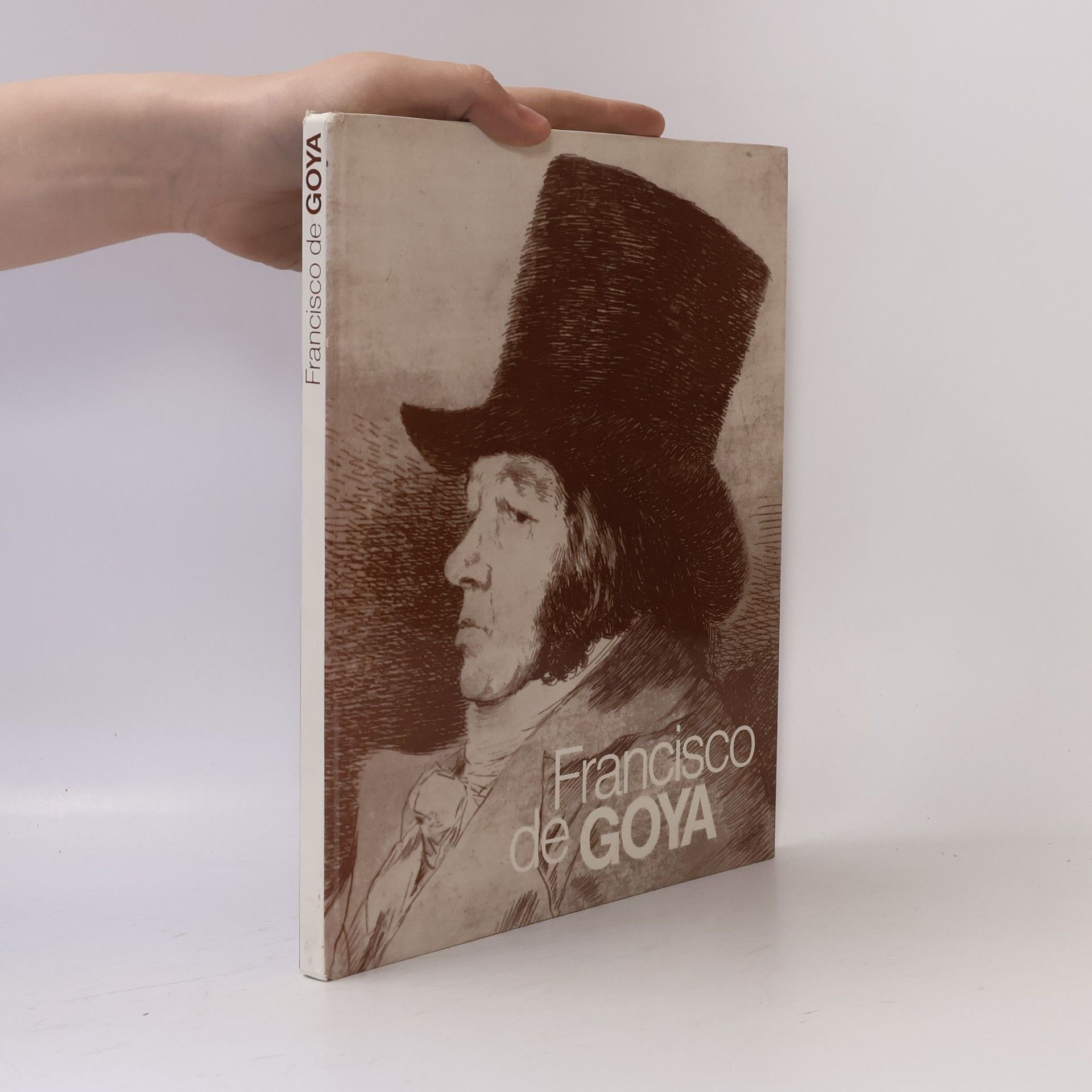 Autorenkollektiv Francisco de Goya