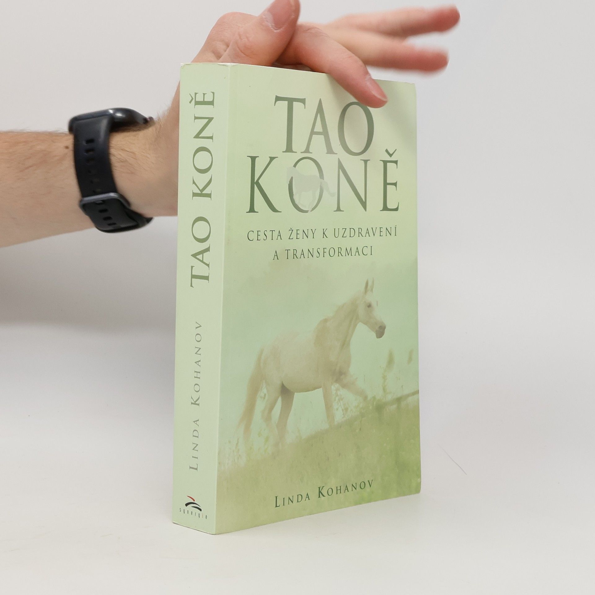 Linda Kohanov Tao koně