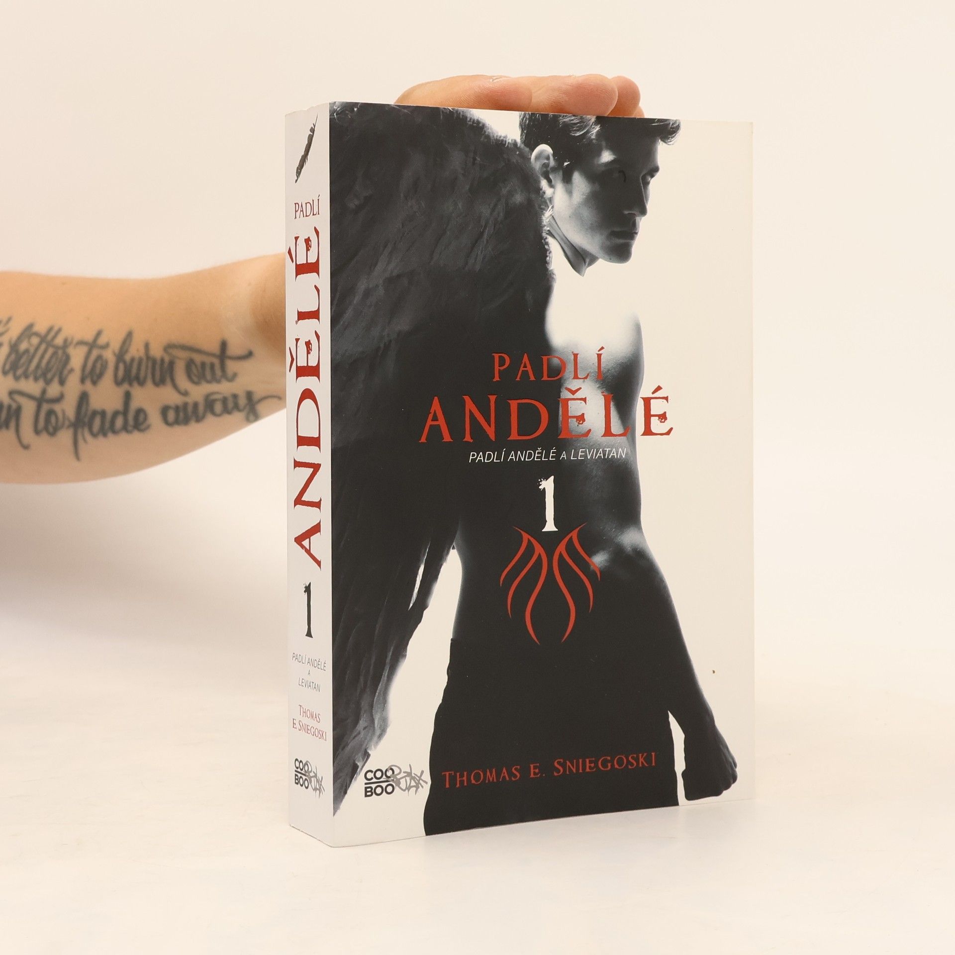 Thomas E. Sniegoski Padlí andělé a Leviatan. Padlí andělé. 1. díl