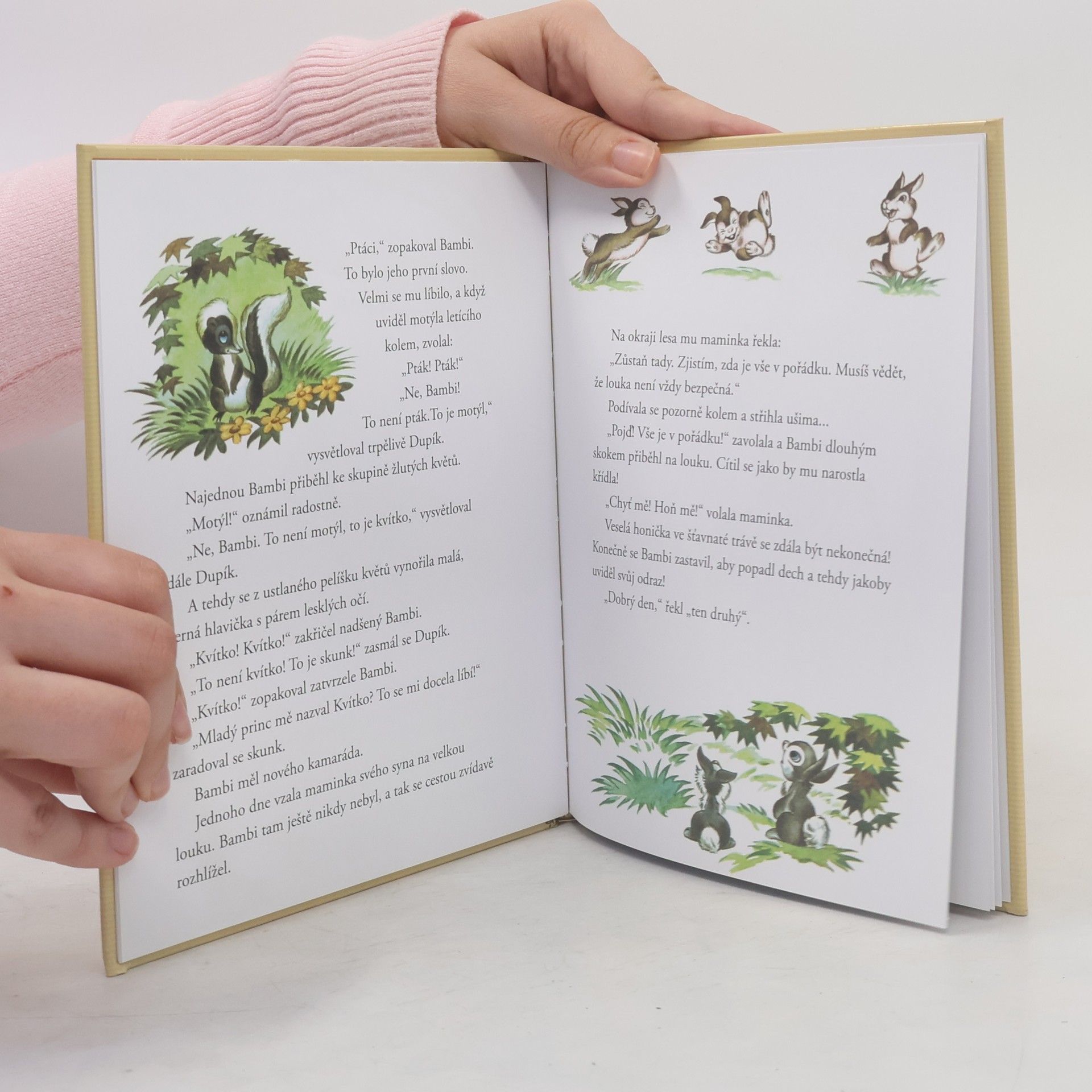 Autorenkollektiv Zlatá sbírka pohádek 4. Bambi