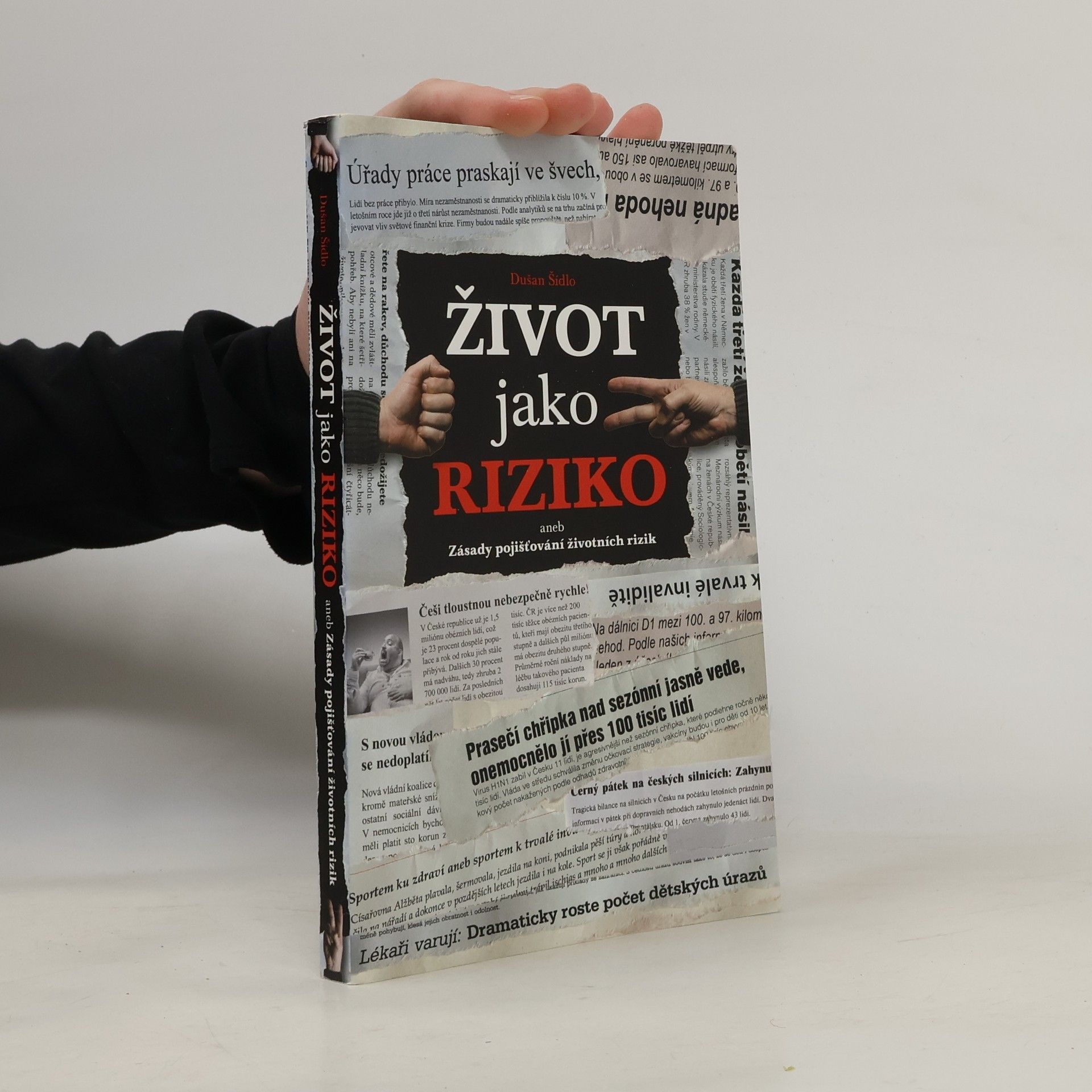 Dušan Šídlo Život jako riziko, aneb, Zásady pojišťování životních rizik