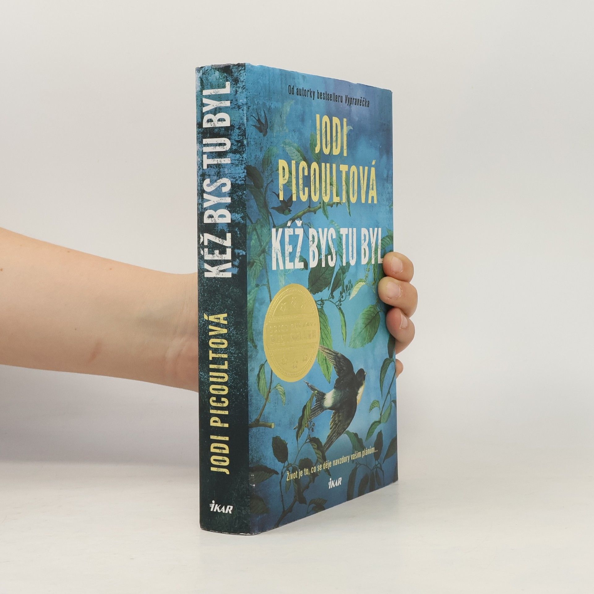 Jodi Picoult Kéž bys tu byl