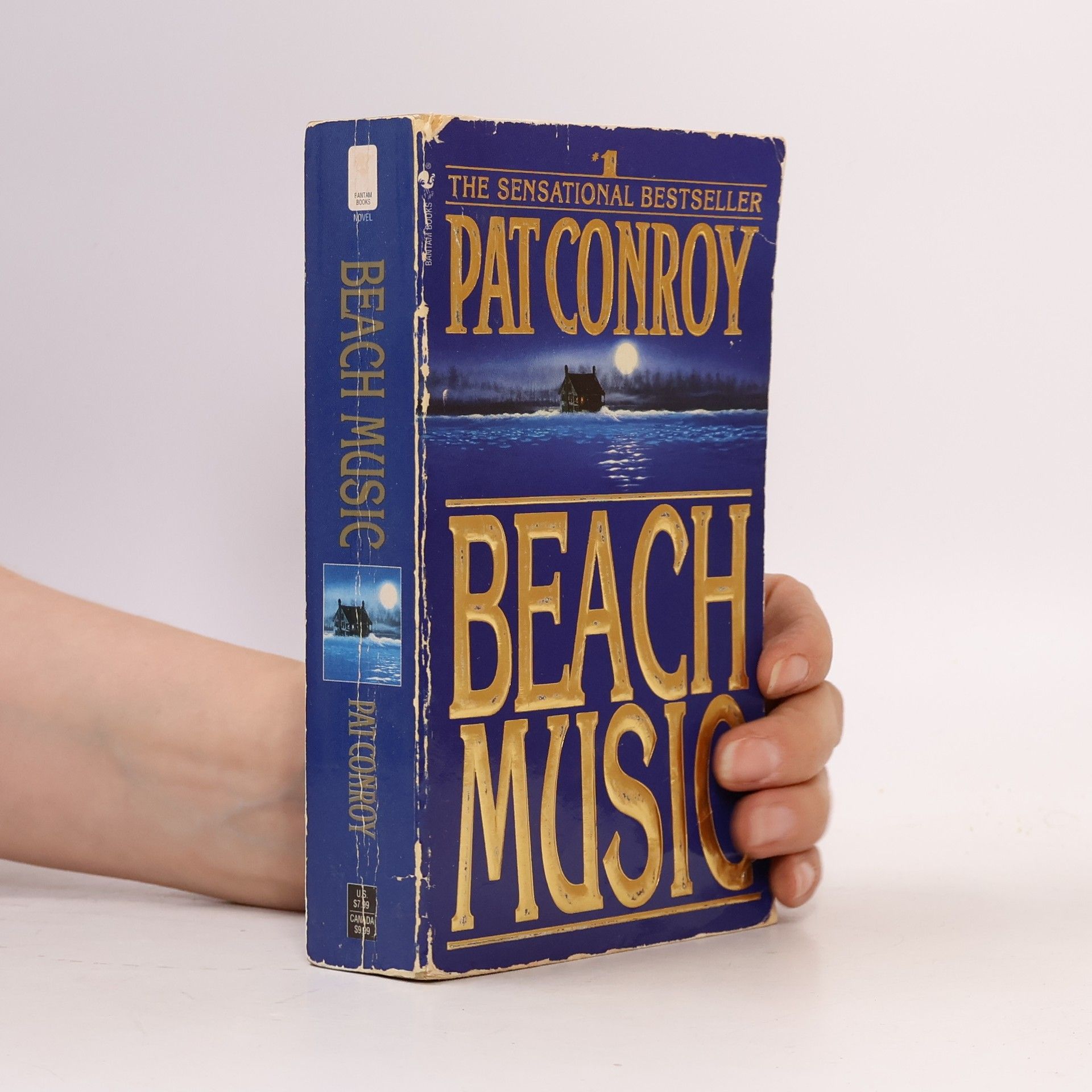 Pat Conroy Beach Music