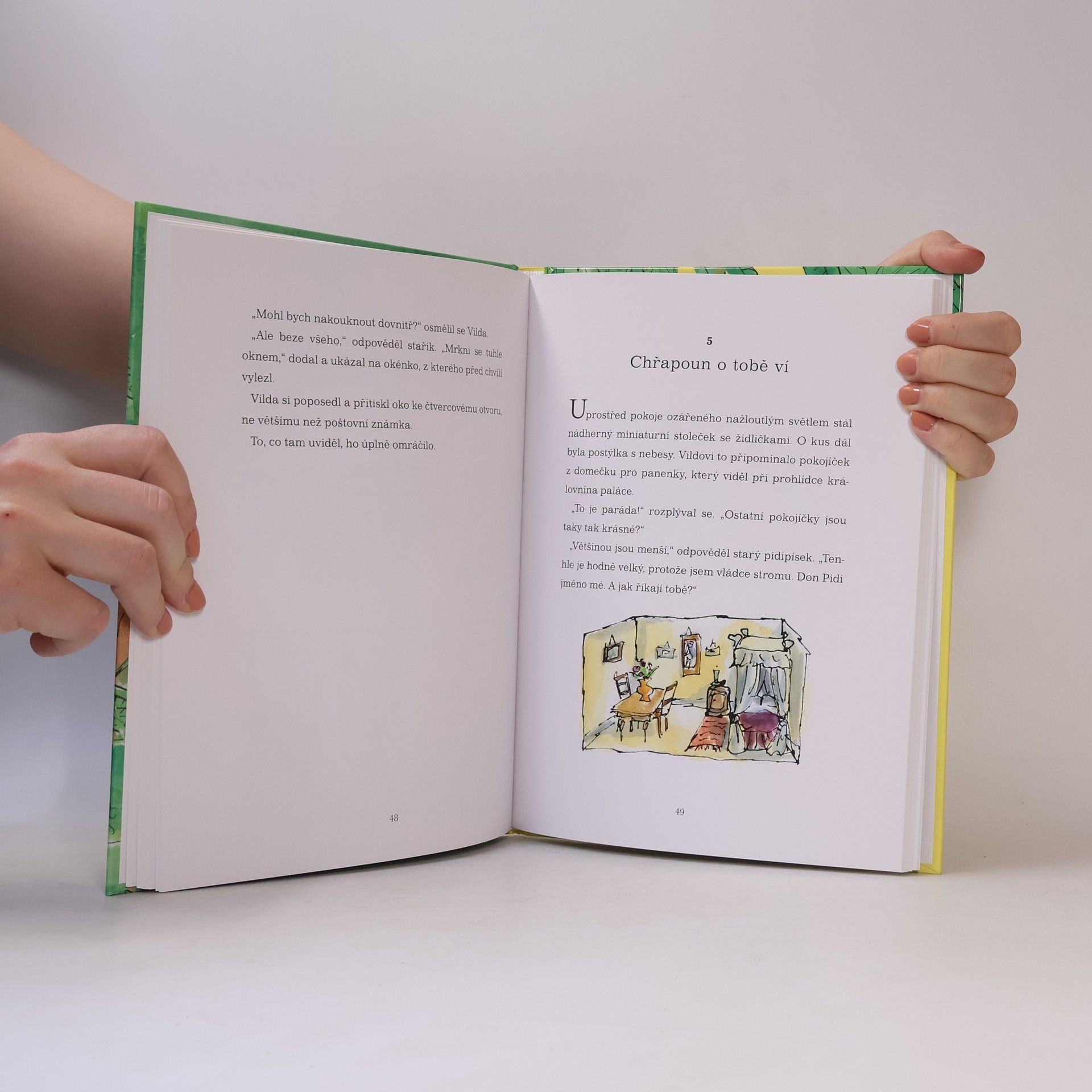 Roald Dahl Vilda a pidipískové