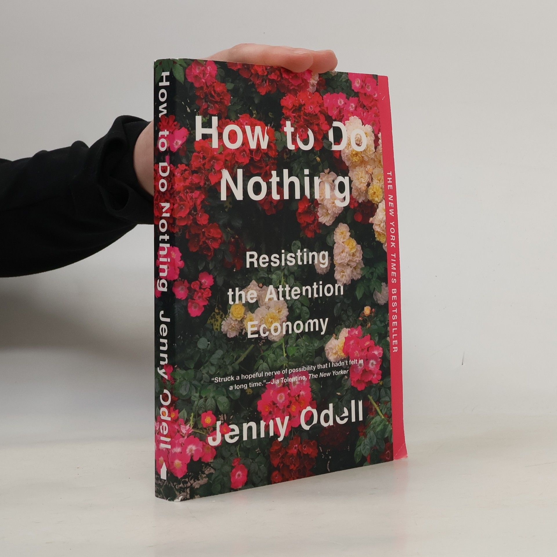 Jenny Odell How to Do Nothing
