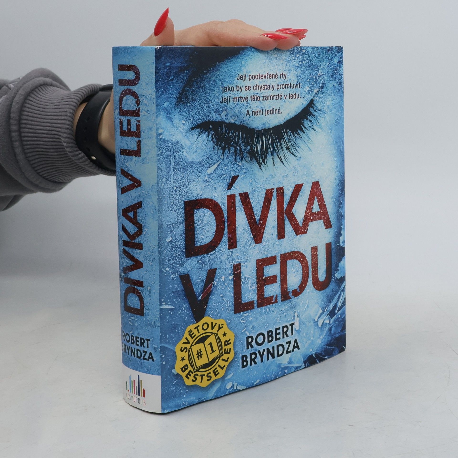 Robert Bryndza Dívka v ledu