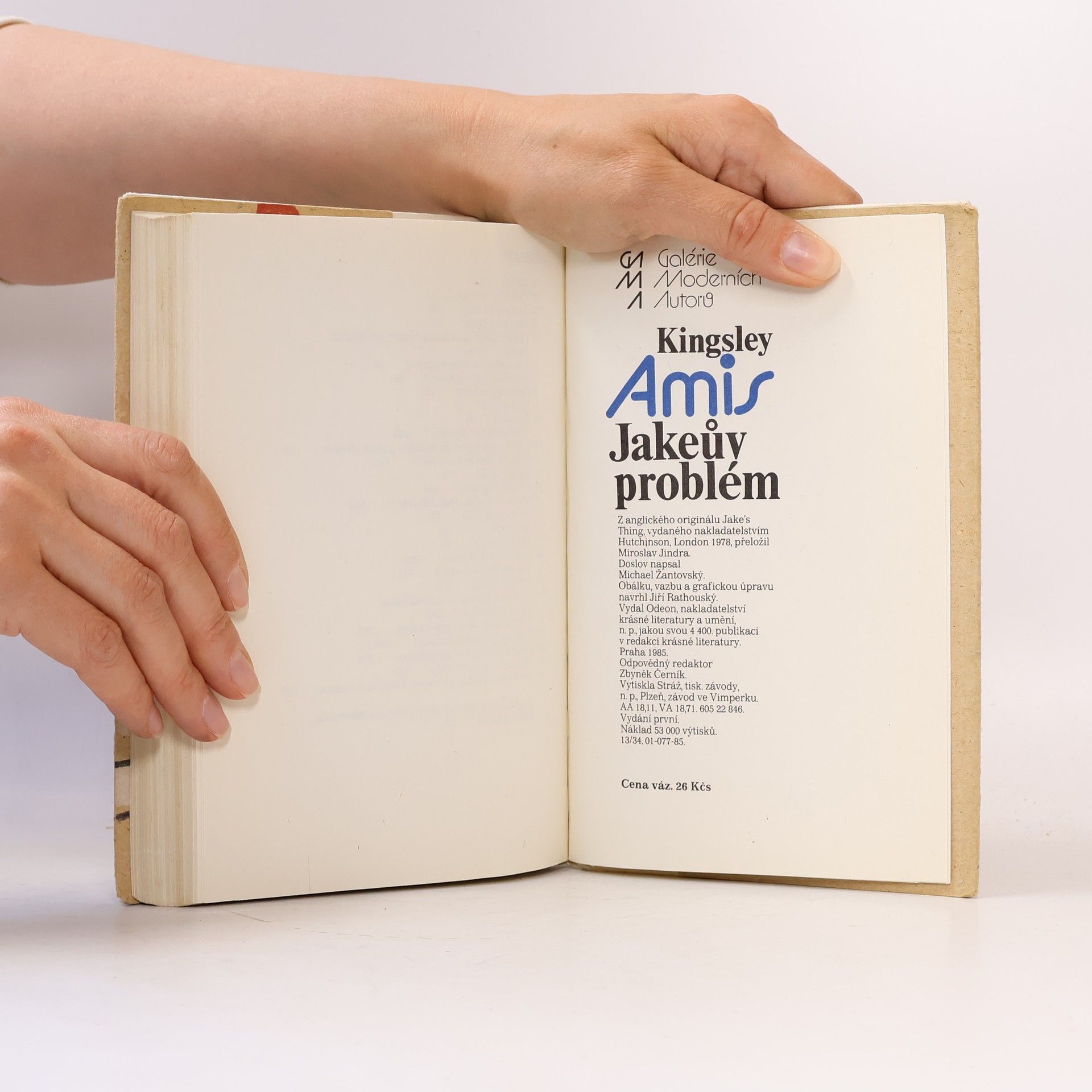 Kingsley Amis Jakeův problém