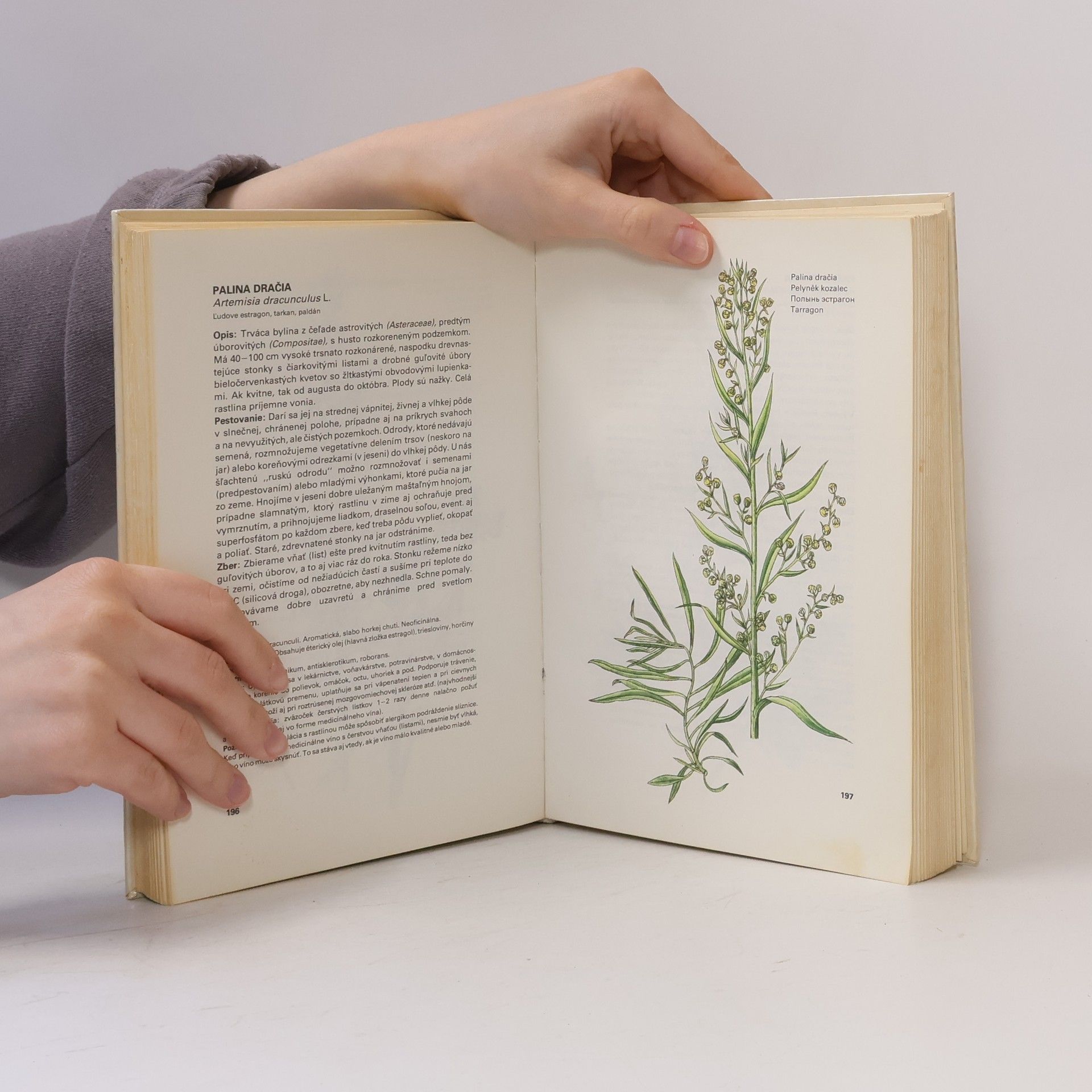 Ludmila Thurzová Malý atlas liečivých rastlín