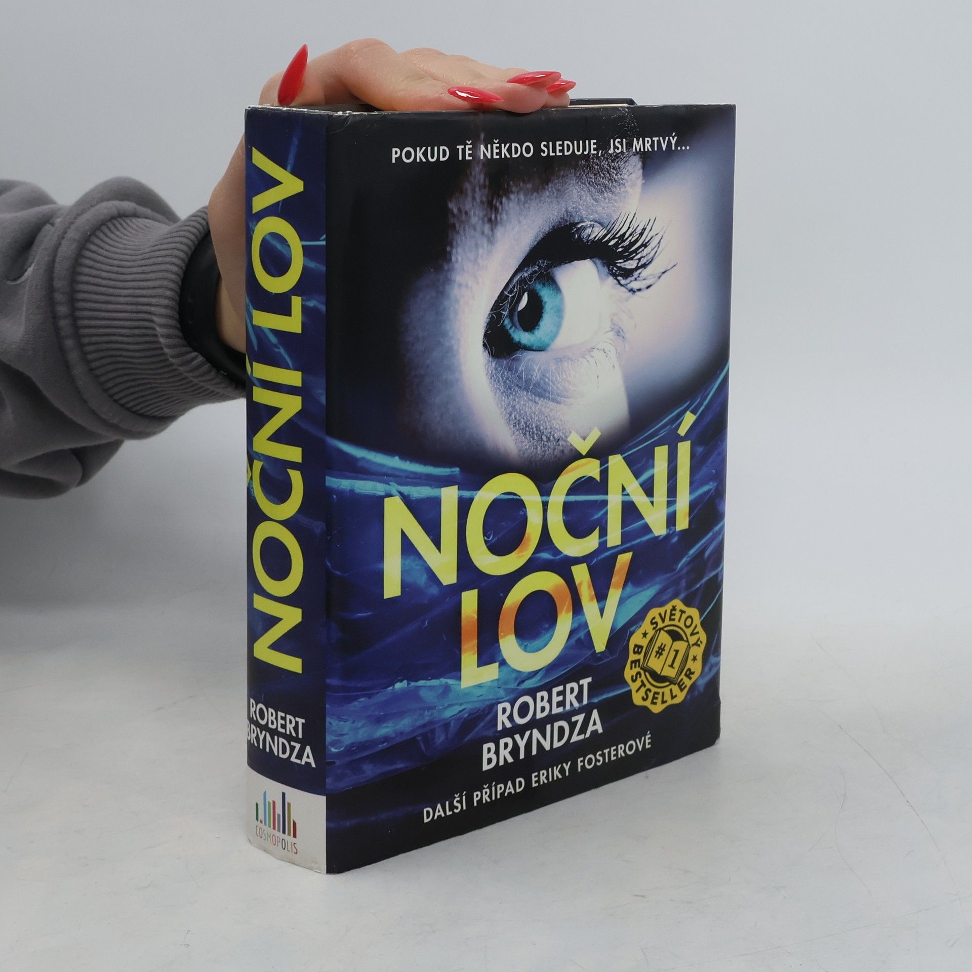 Robert Bryndza Noční lov