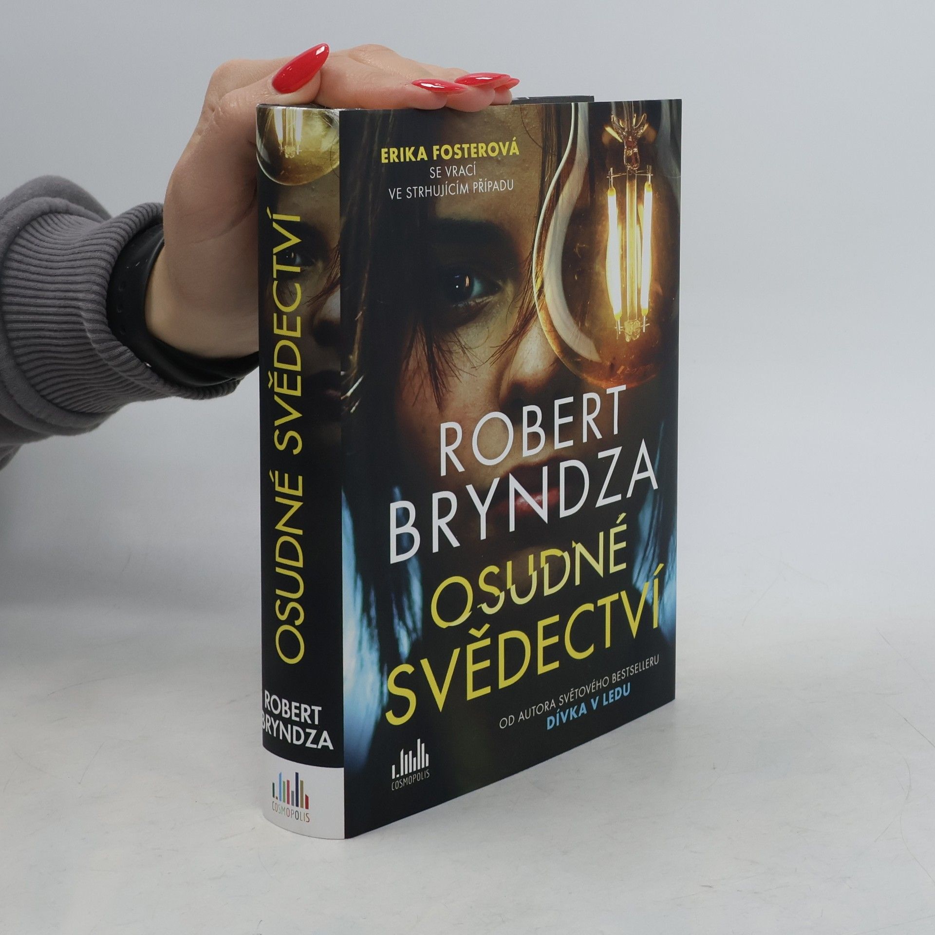 Robert Bryndza Osudné svědectví