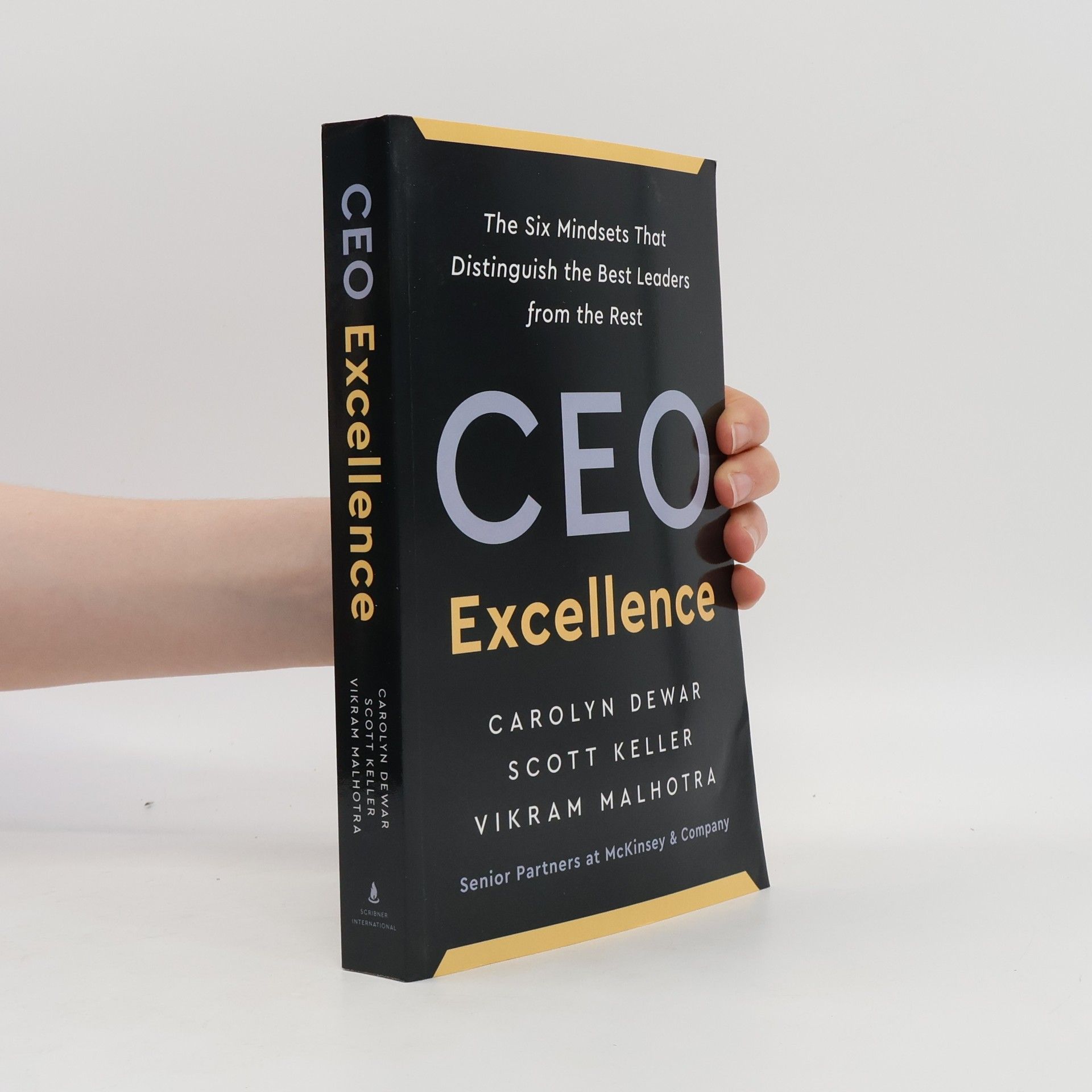 Vikram Malhontra CEO Excellence
