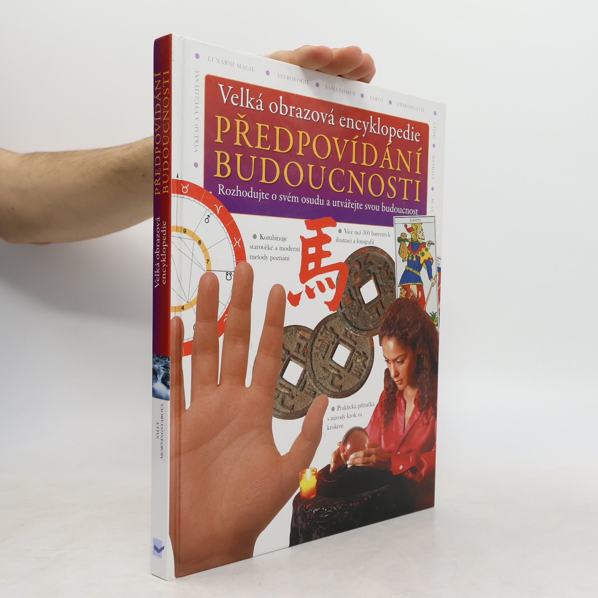 Sally Morningstar Velká obrazová encyklopedie. Předpovídání budoucnosti