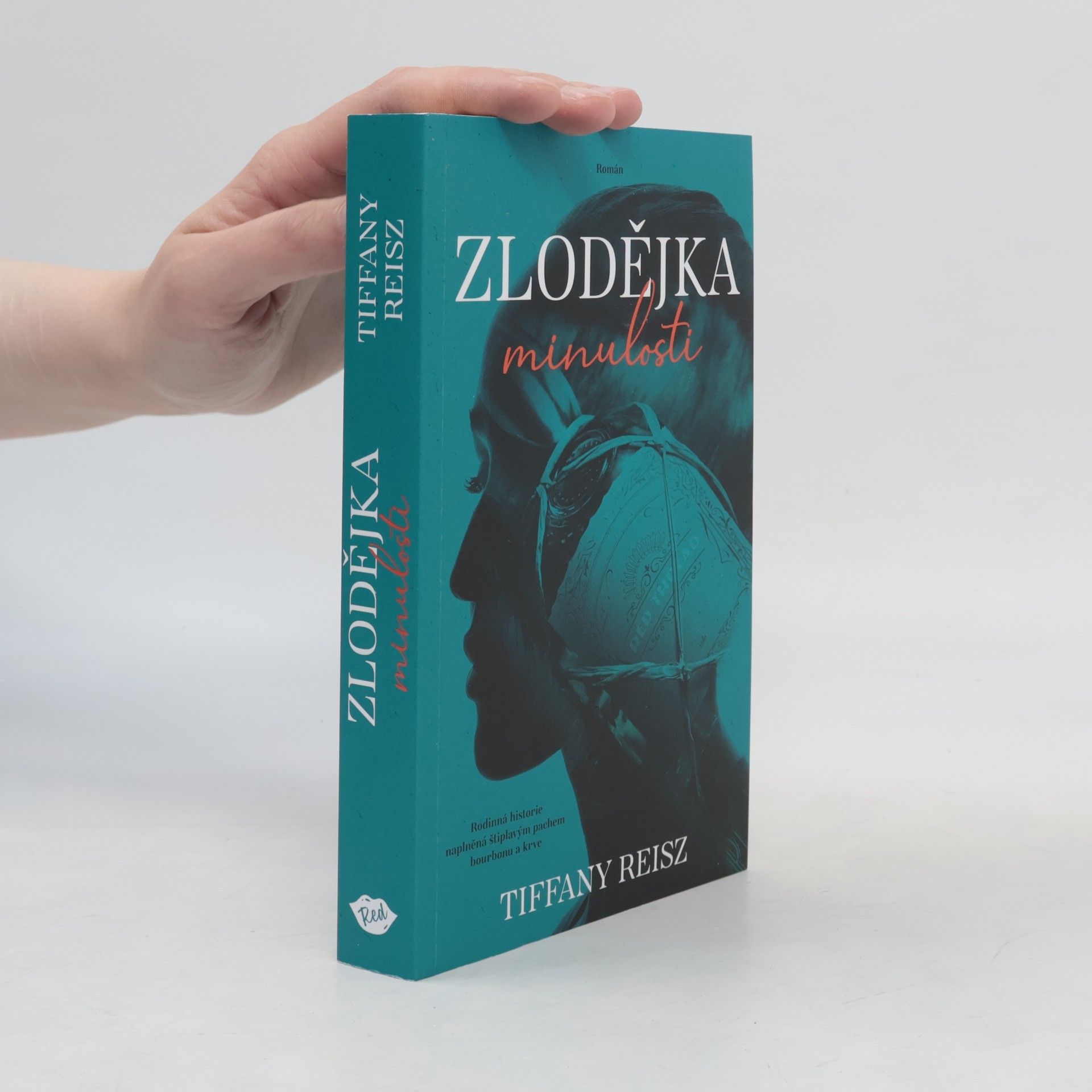 Zlodějka minulosti