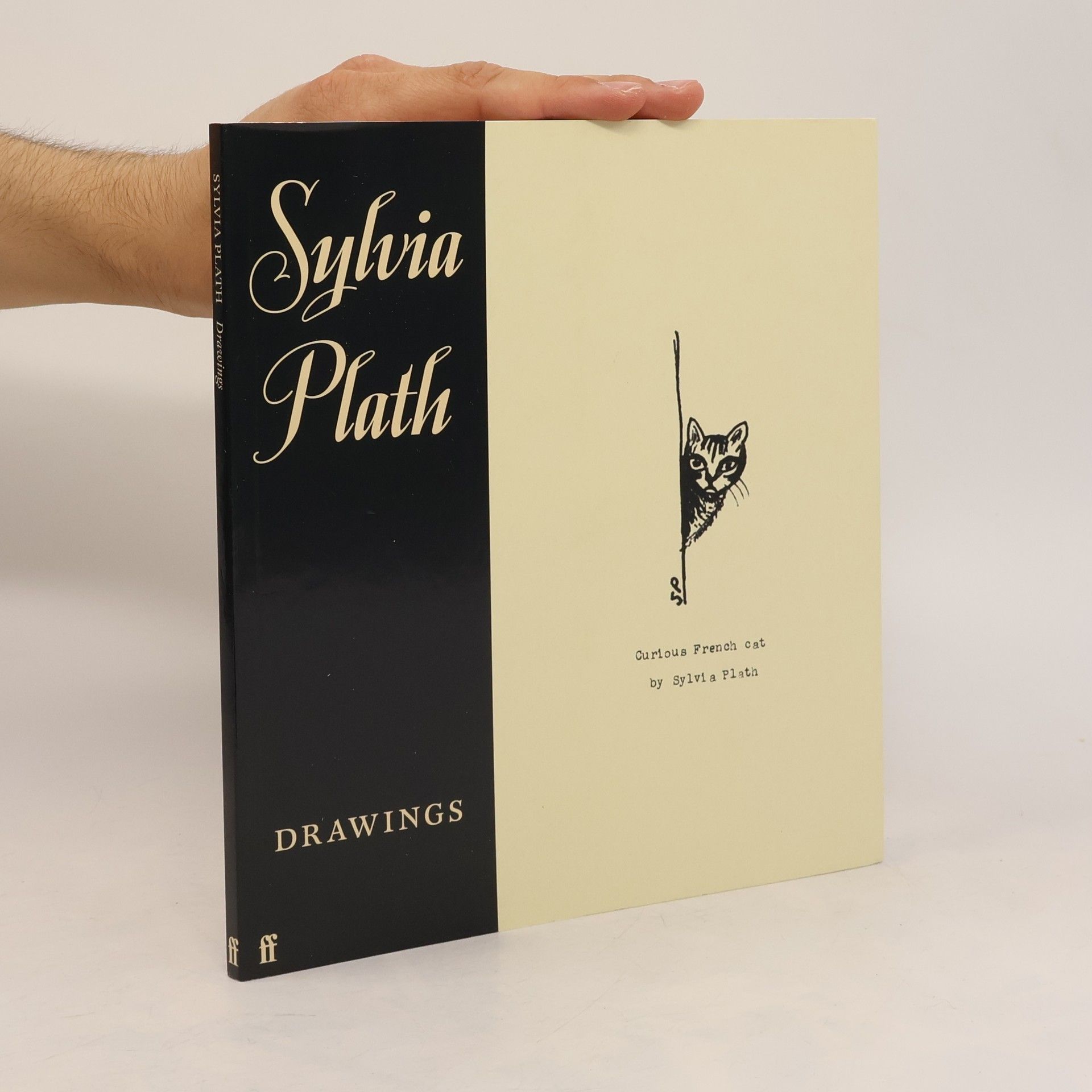 Frieda Hughes Sylvia Plath: Drawings