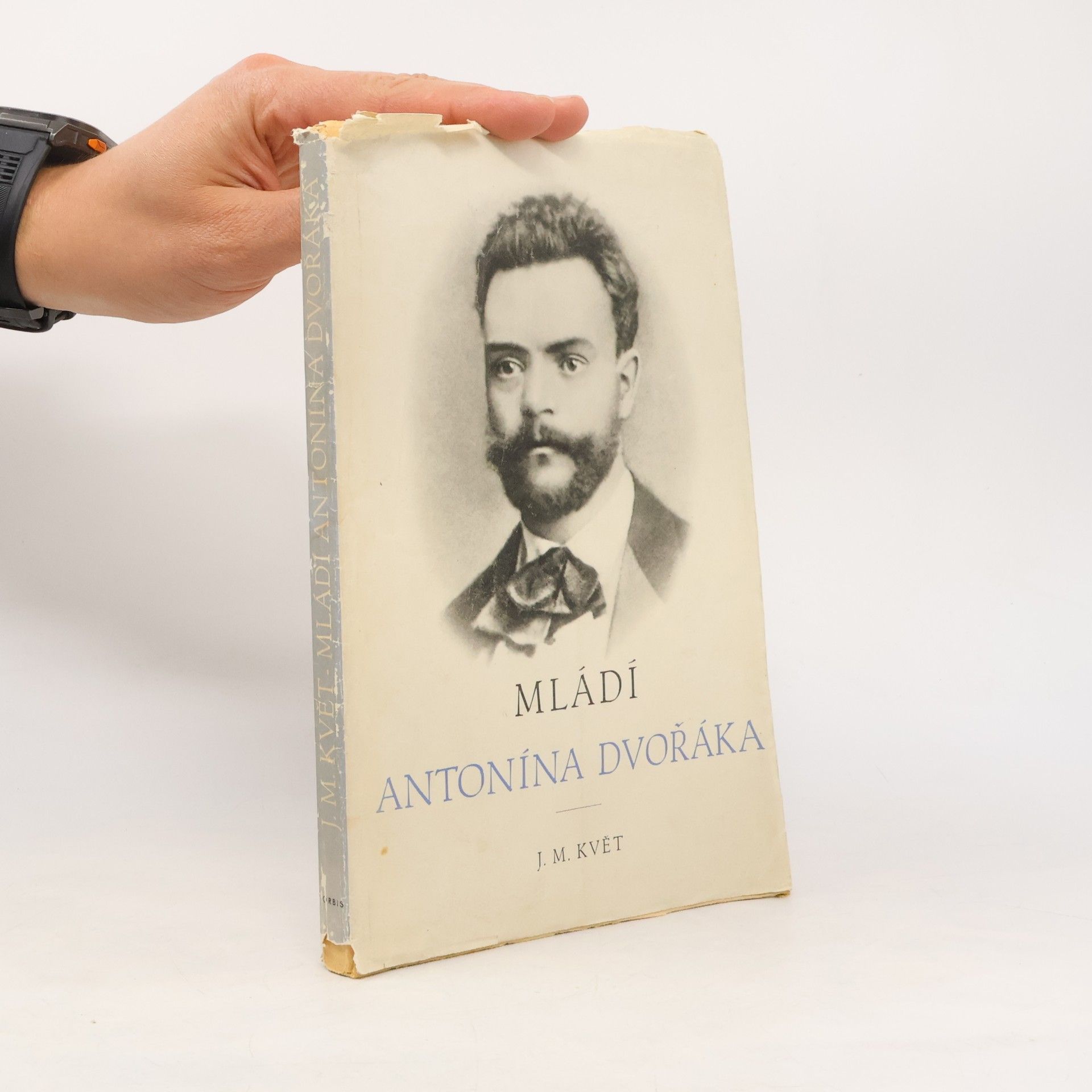 Mládí Antonína Dvořáka