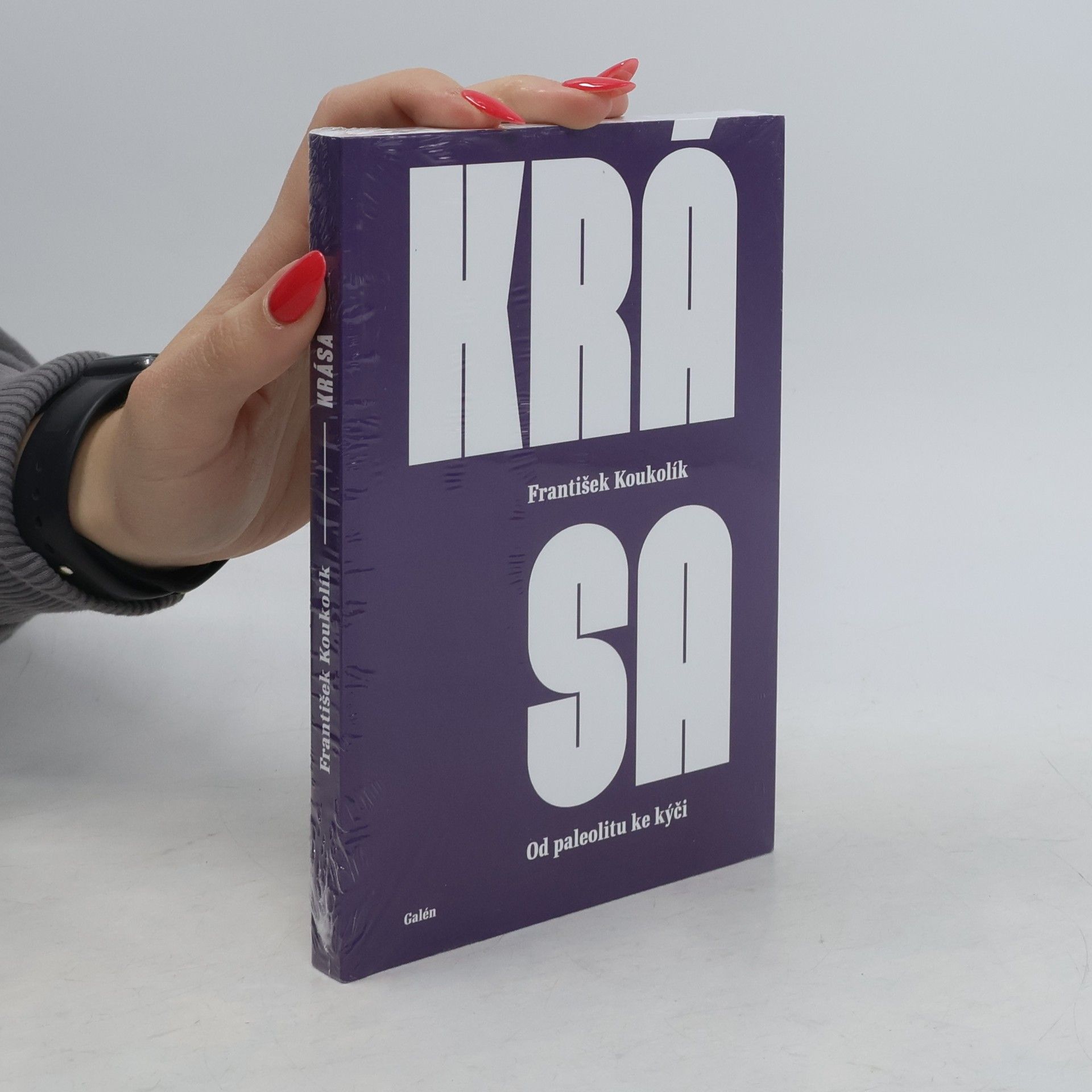 Krása: od paleolitu ke kýči