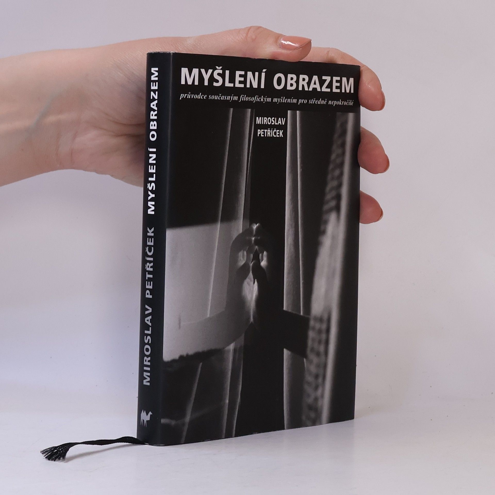Myšlení obrazem: Průvodce současným filosofickým myšlením pro středně nepokročilé