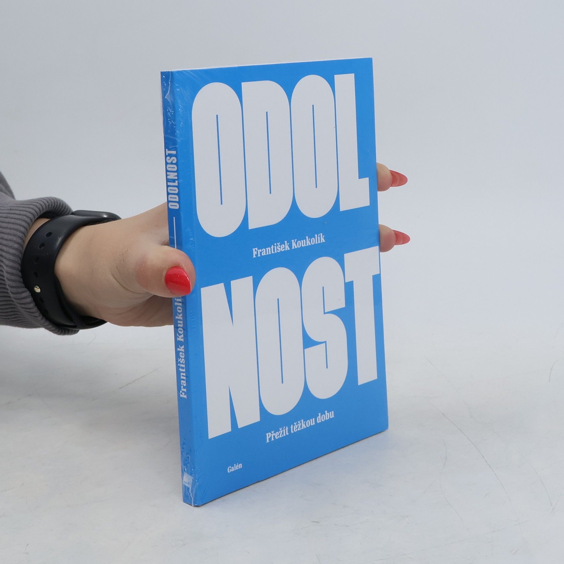 Odolnost : přežít těžkou dobu