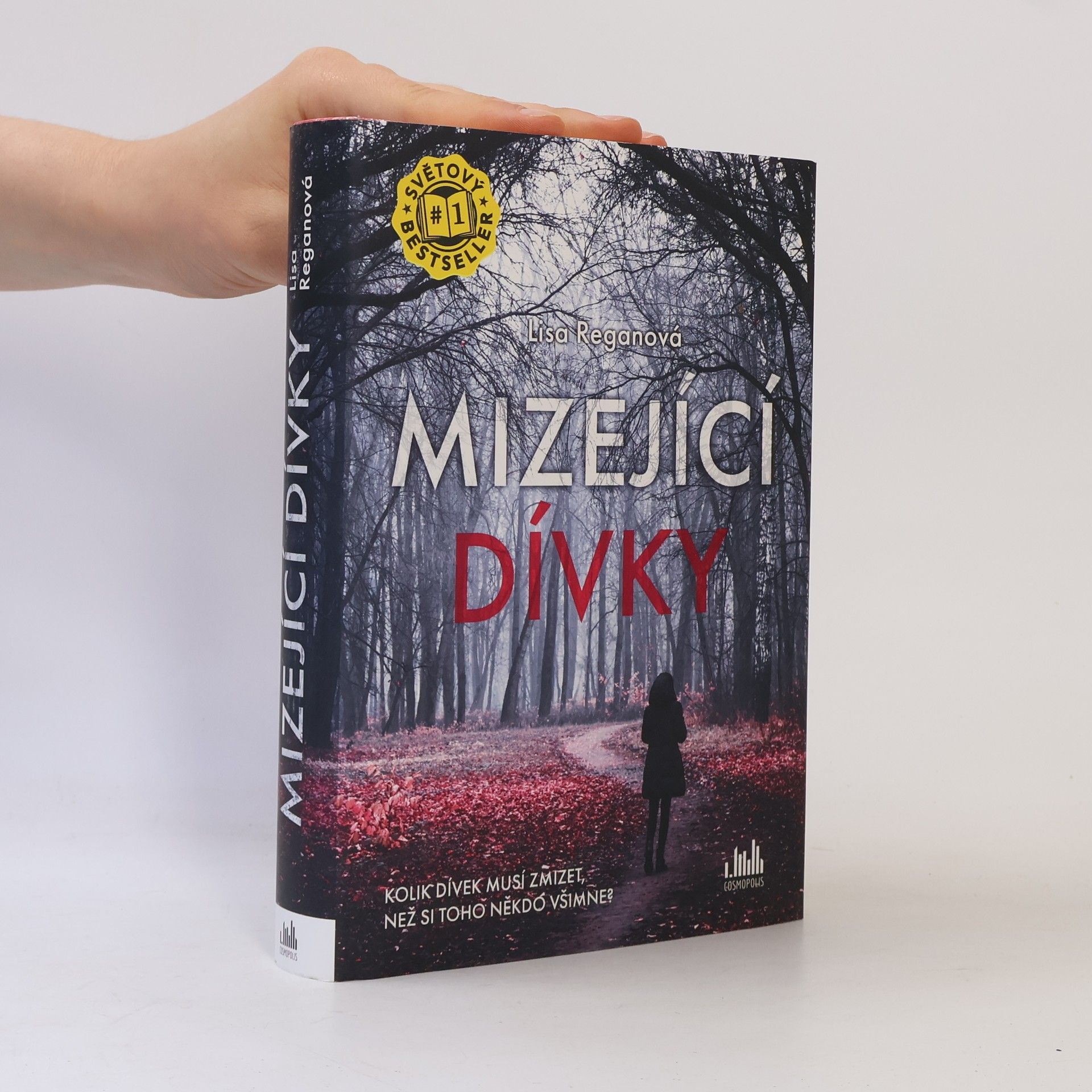 Lisa Regan Mizející dívky