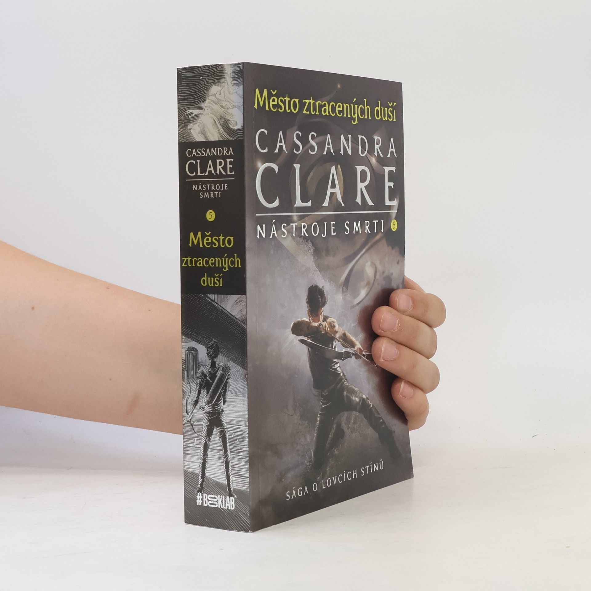 Cassandra Clare Nástroje smtri 5: Město ztracených duší
