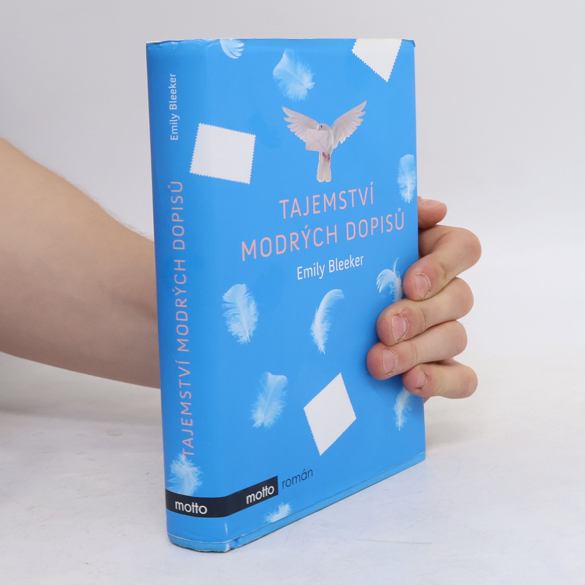 Emily Bleeker Tajemství modrých dopisů