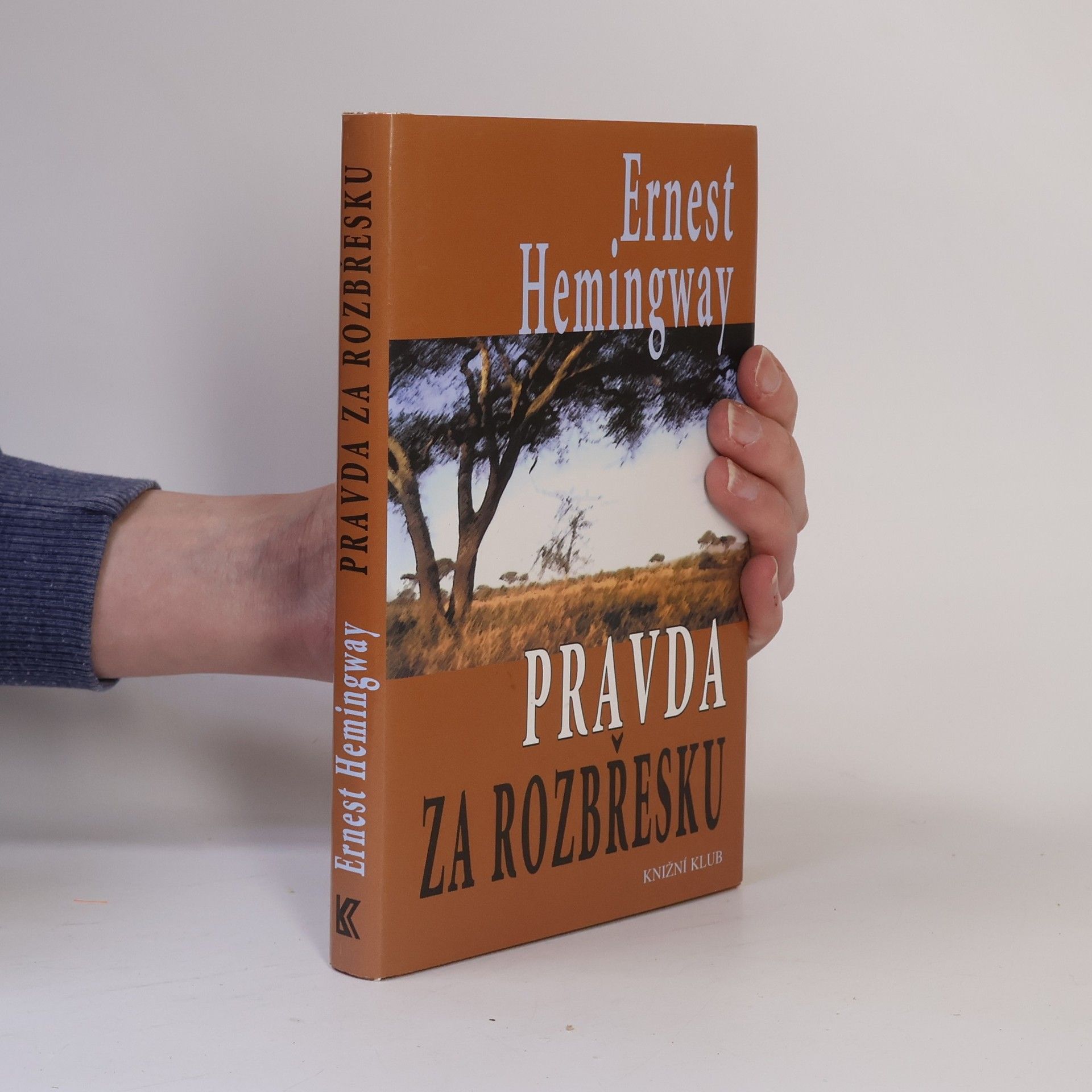Ernest Hemingway Pravda za rozbřesku