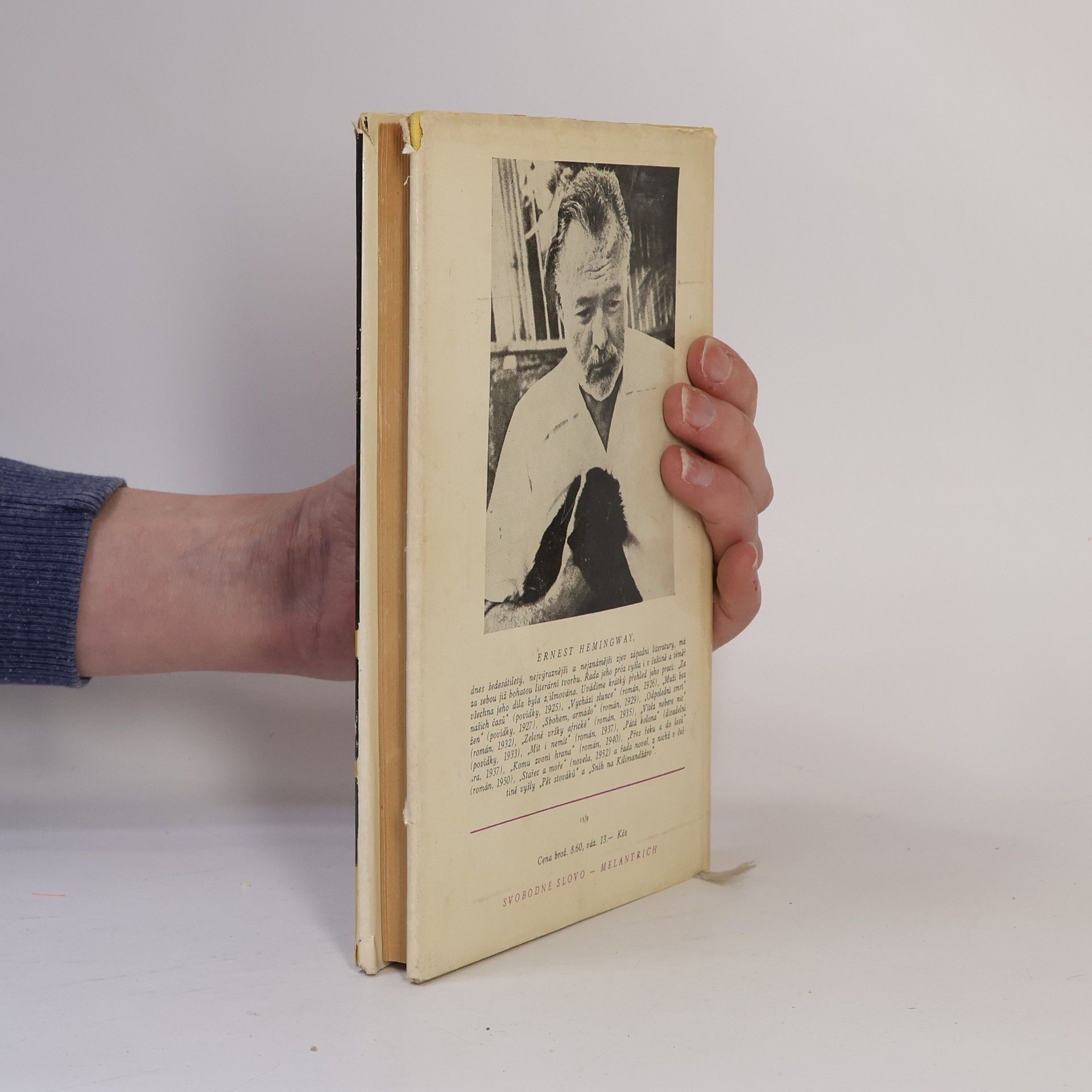 Ernest Hemingway Přes řeku a do lesů