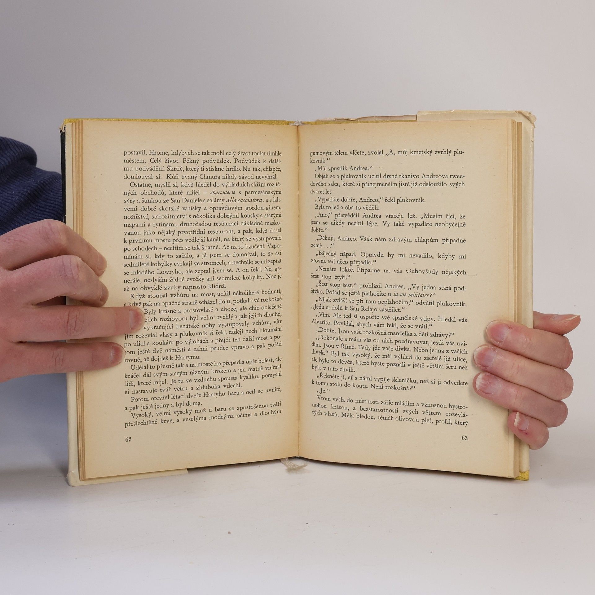 Ernest Hemingway Přes řeku a do lesů