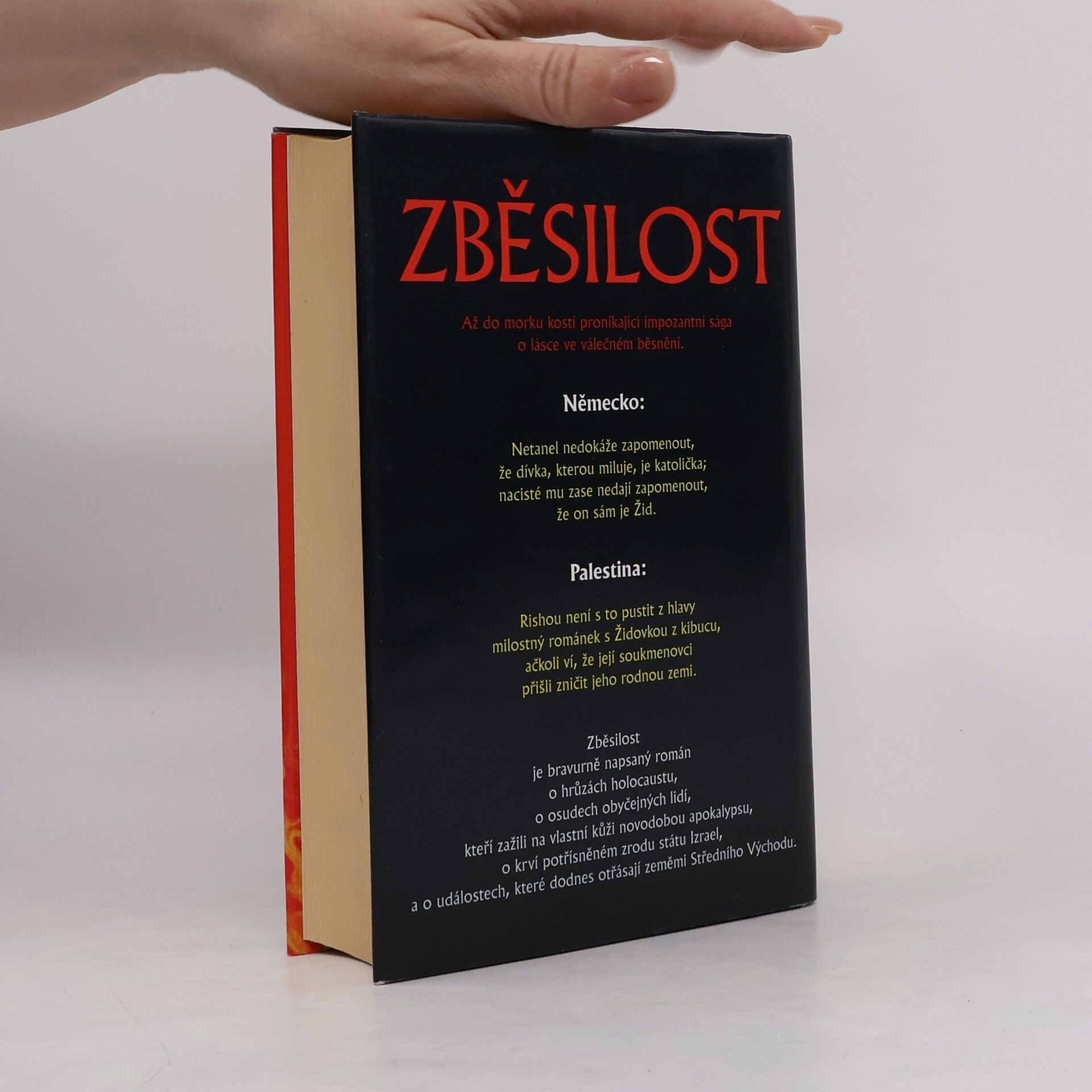 Colin Falconer Zběsilost