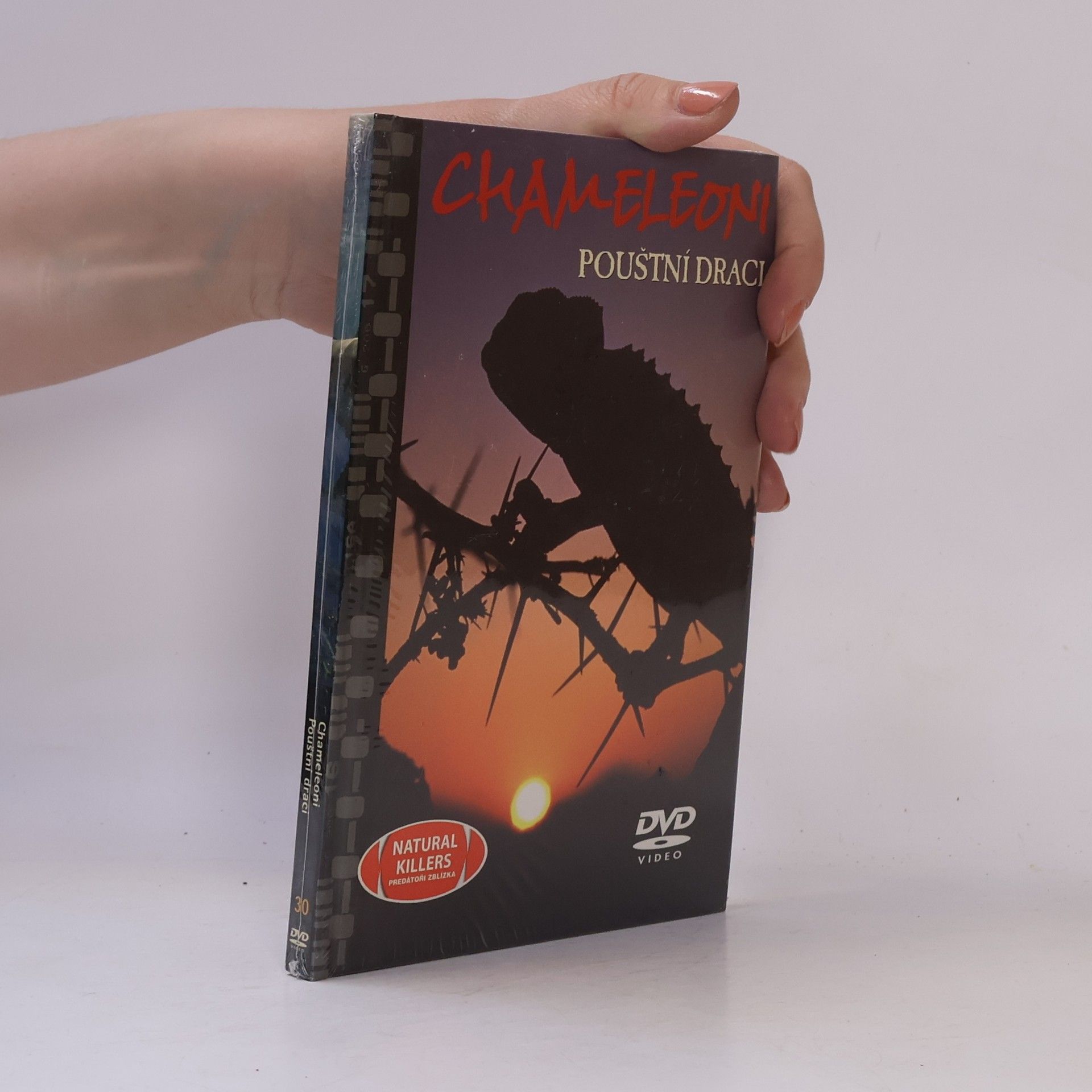 Auteurscollectief Chameleoni. Pouštní draci